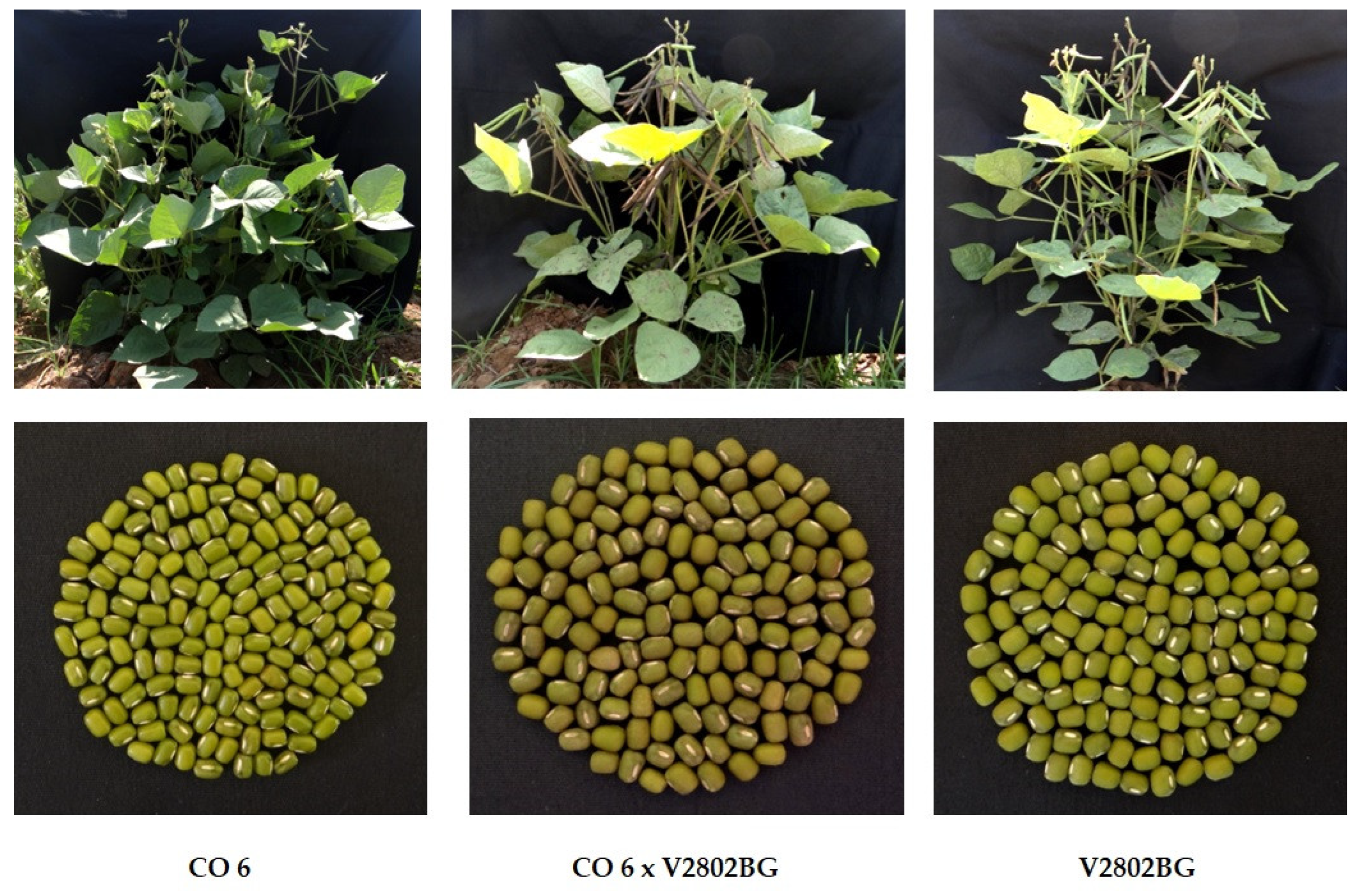 Agriculture 12 01050 g003 Agriculture 12 01050 g003