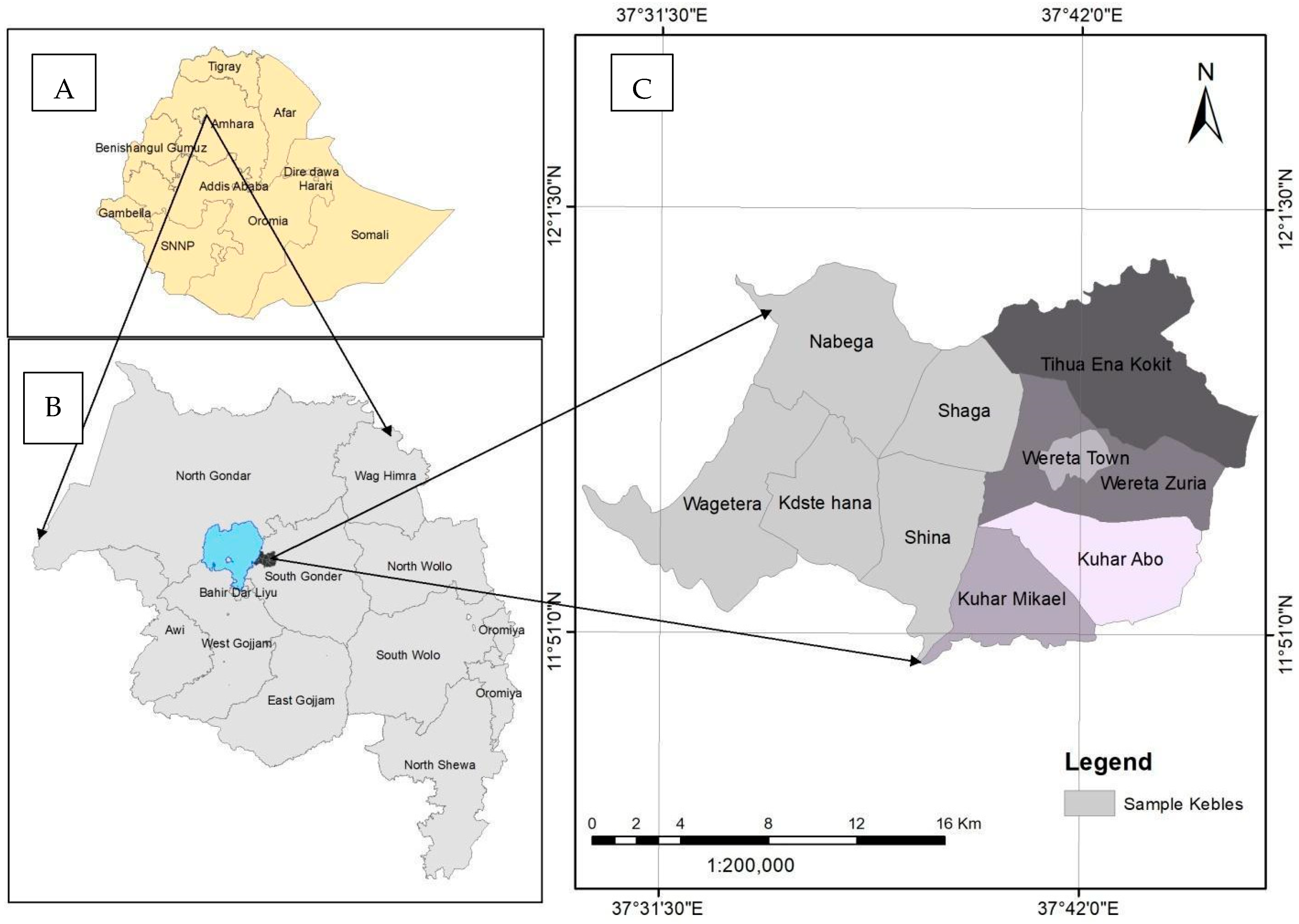 Agriculture 12 01055 g001