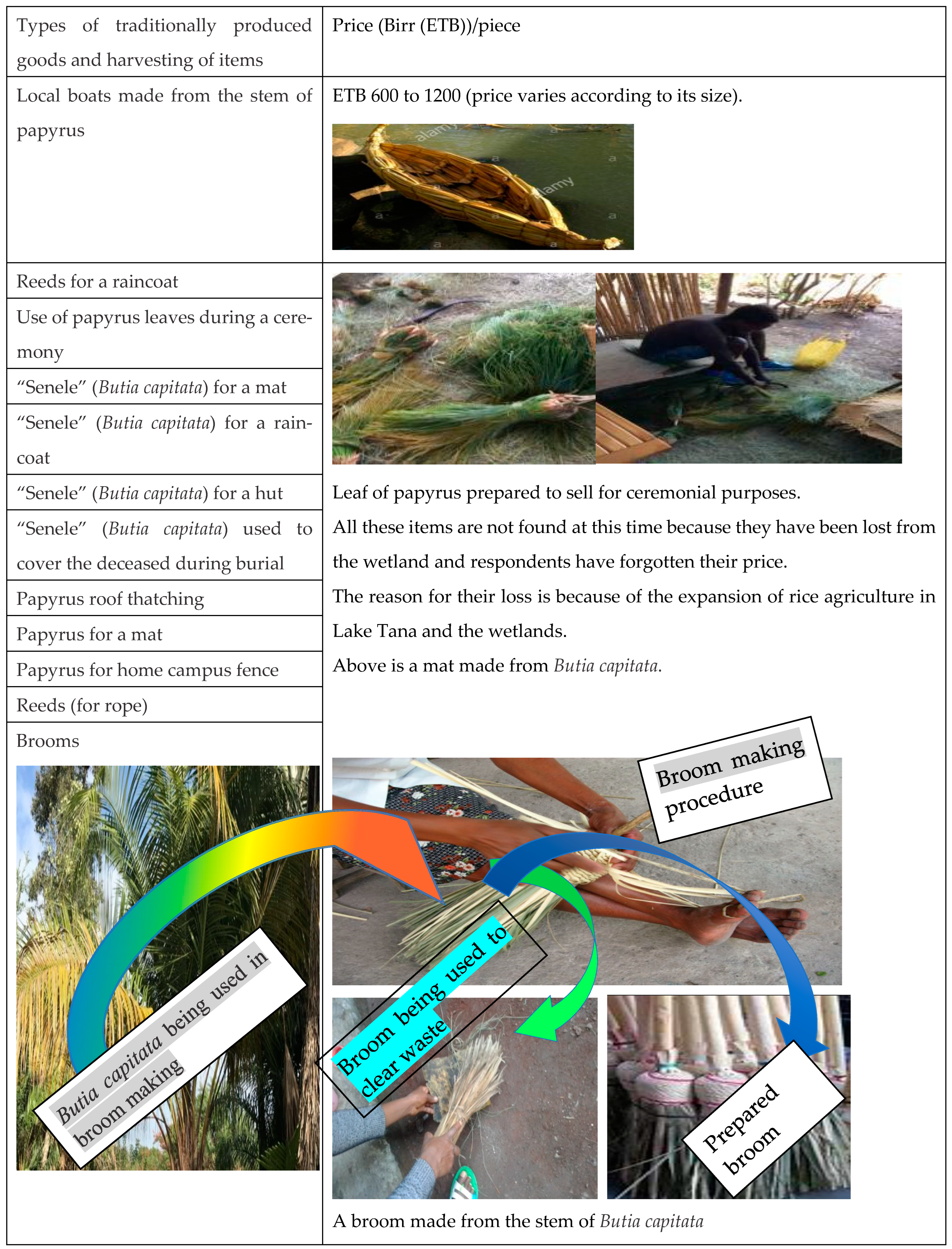 Agriculture 12 01055 g002a