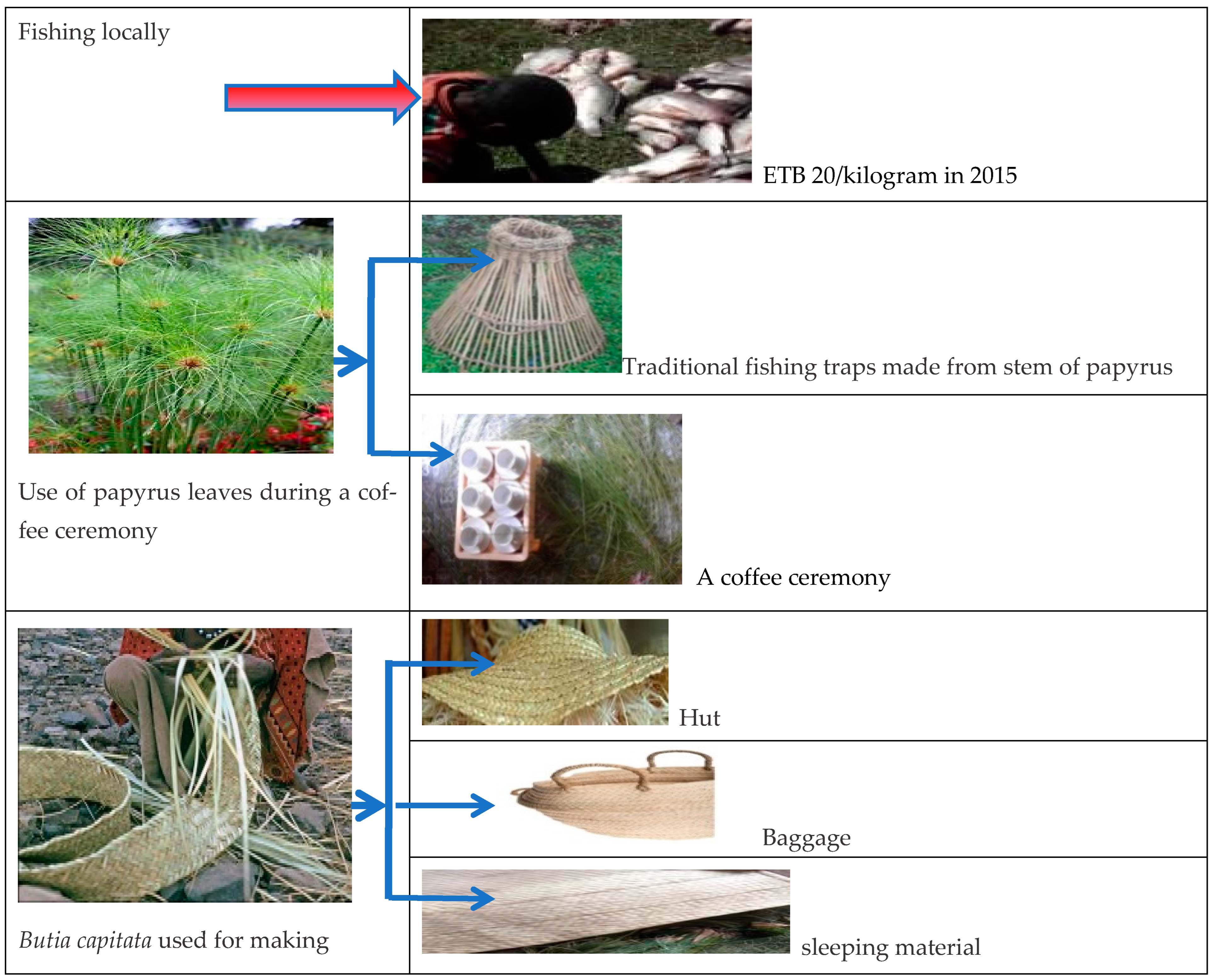 Agriculture 12 01055 g002b