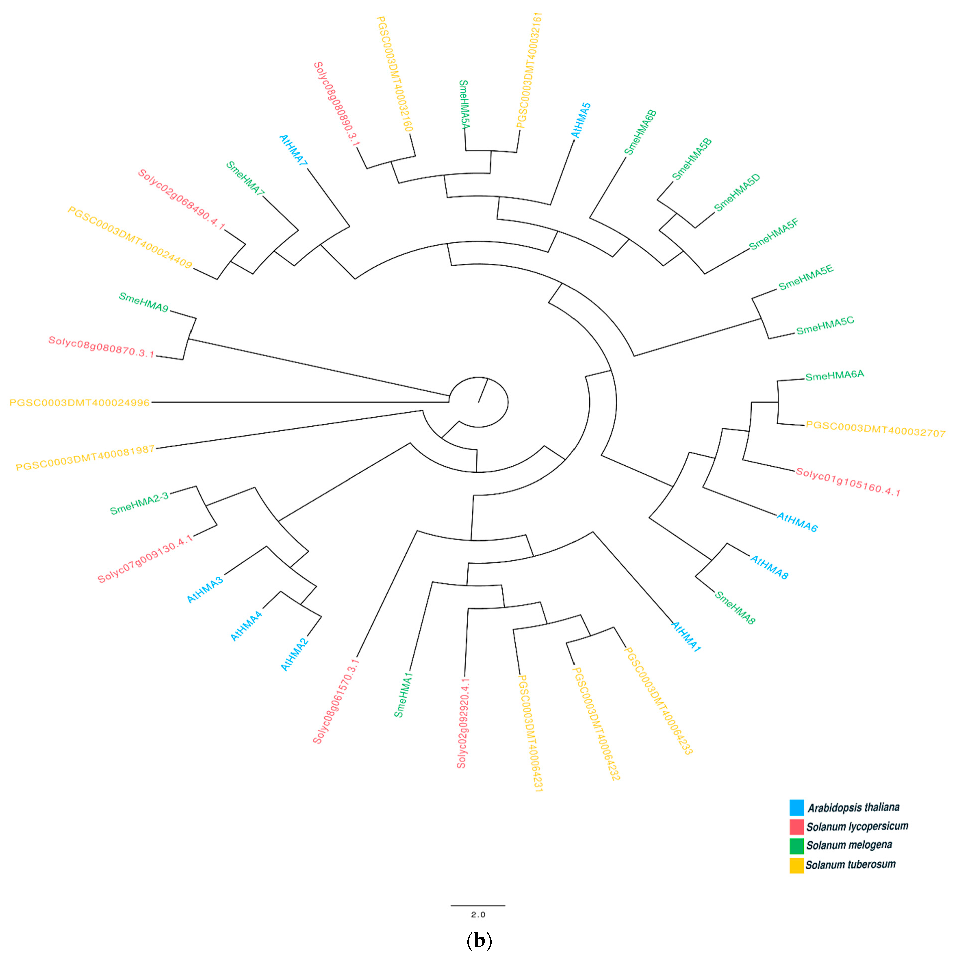 Agriculture 12 01059 g0a1b Agriculture 12 01059 g0a1b