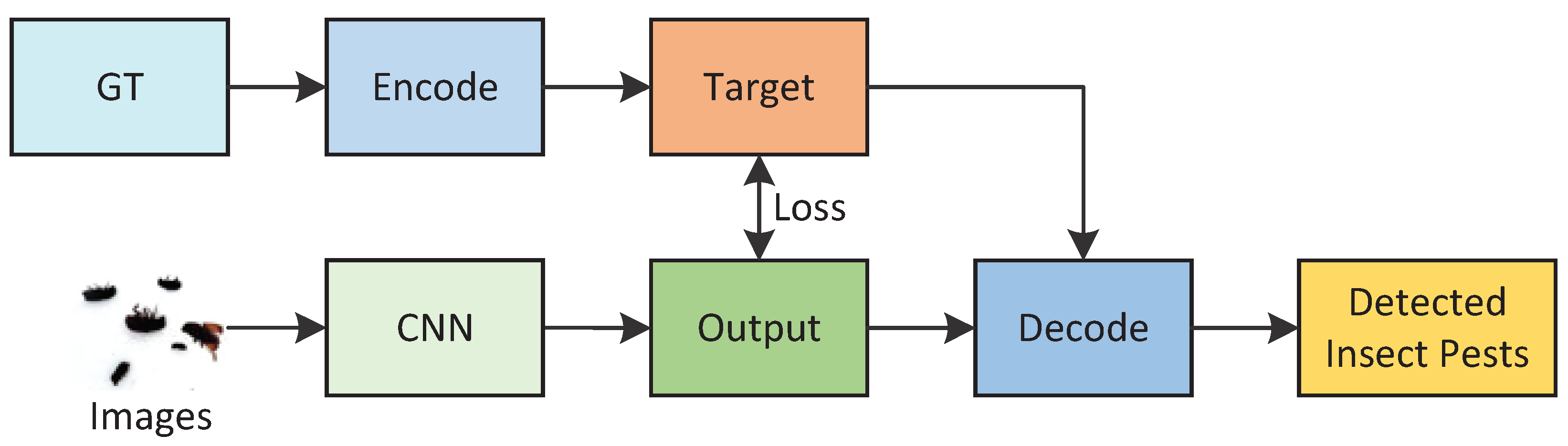 Agriculture 12 01065 g001 550
