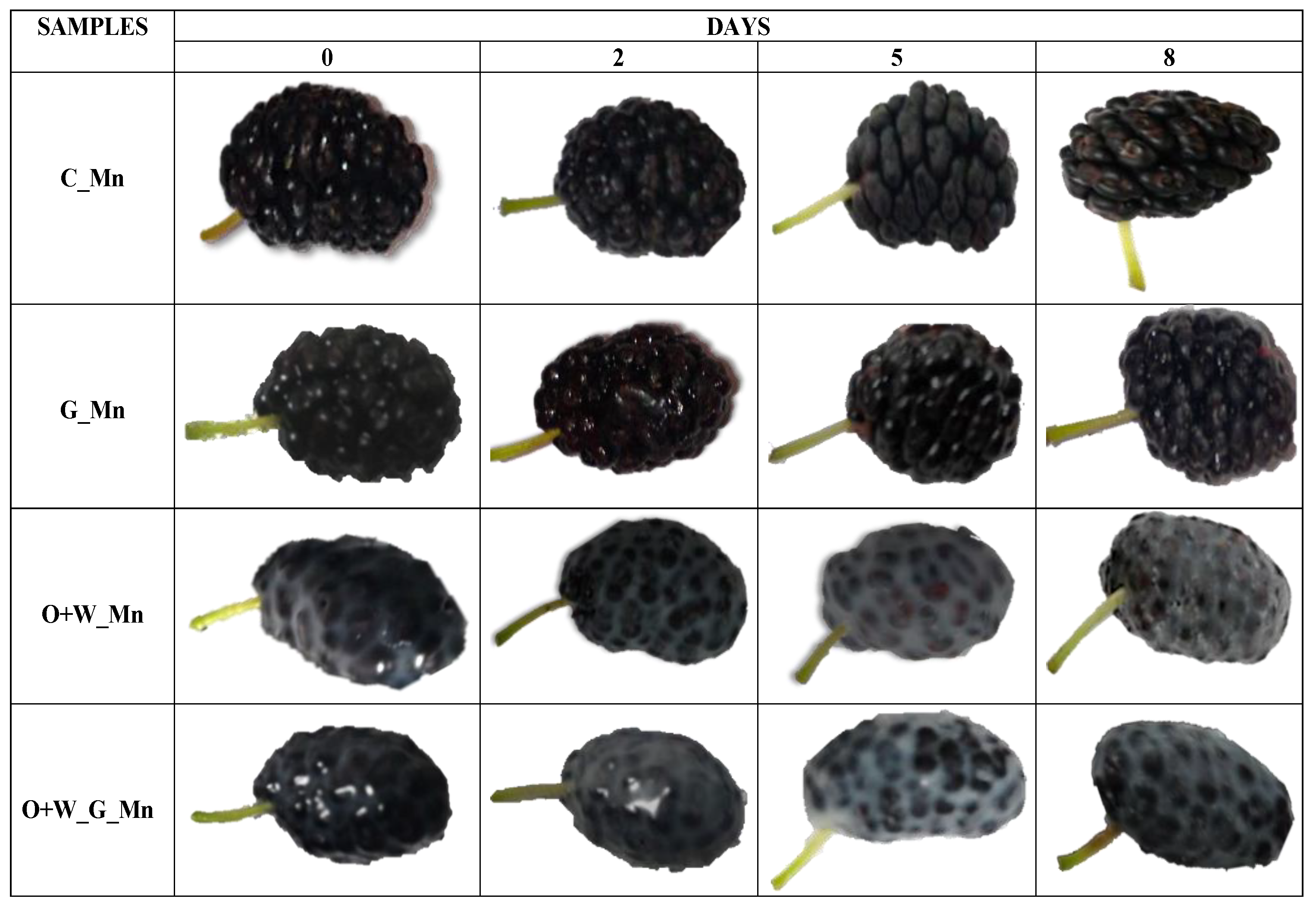 Agriculture 12 01068 g009