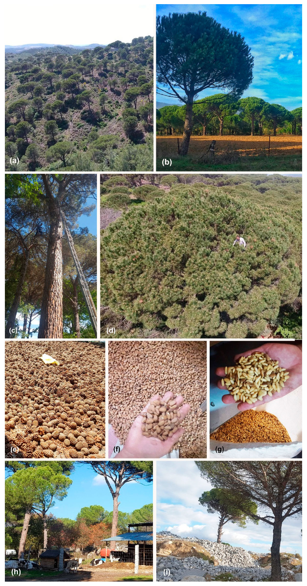 Agriculture 12 01070 g002