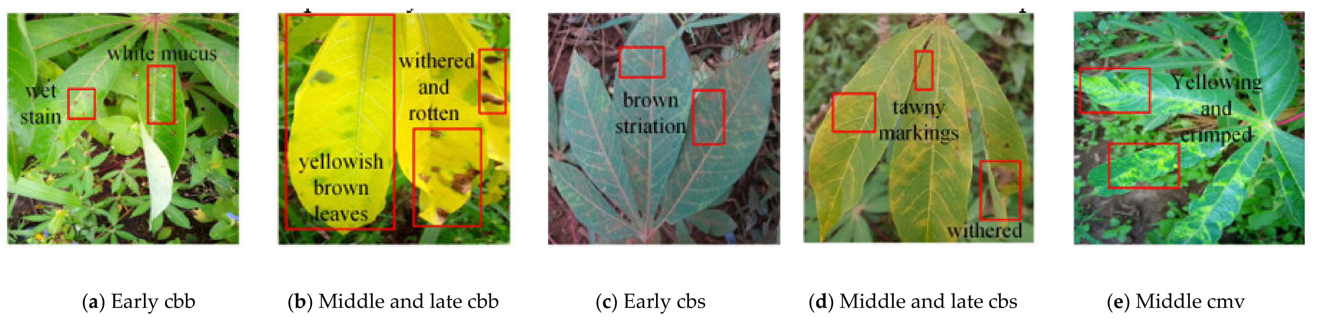 Agriculture 12 01083 g008