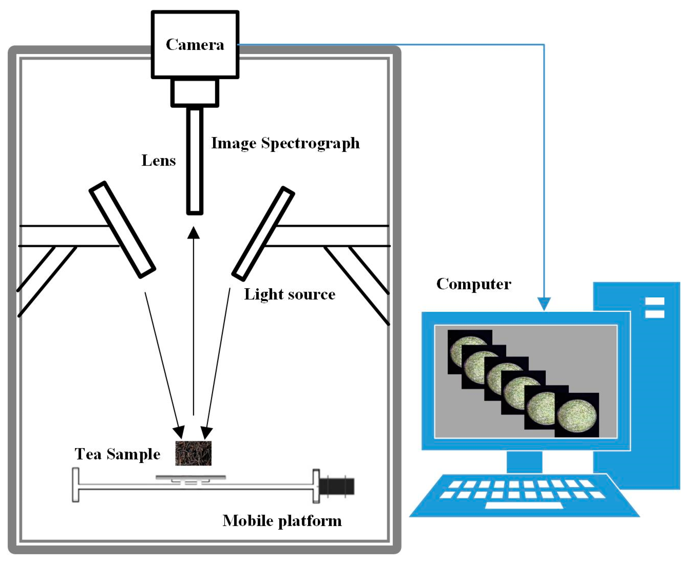 Agriculture 12 01085 g001 550