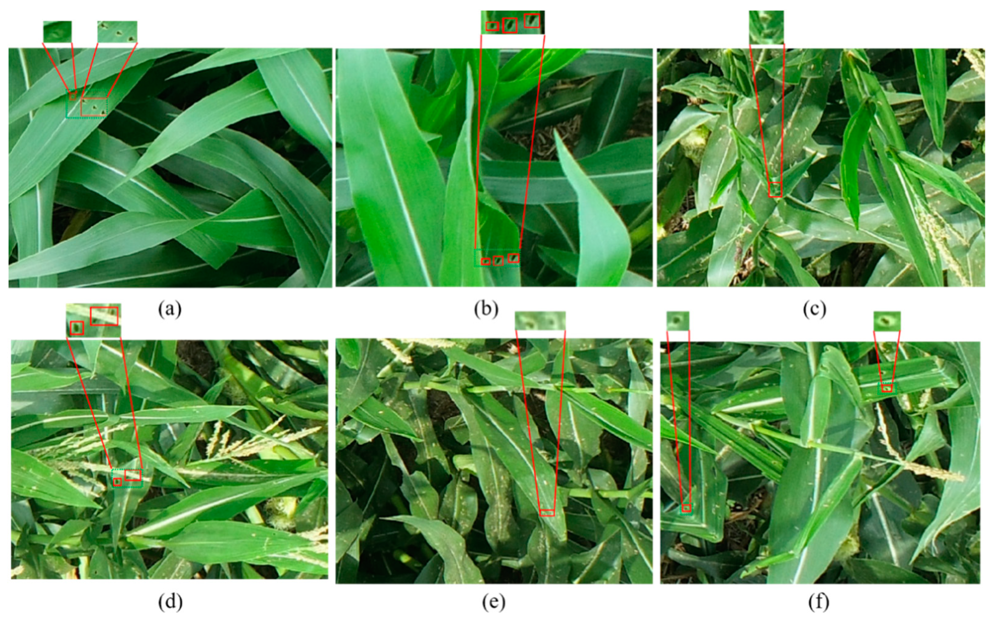 Agriculture 12 01104 g002 550