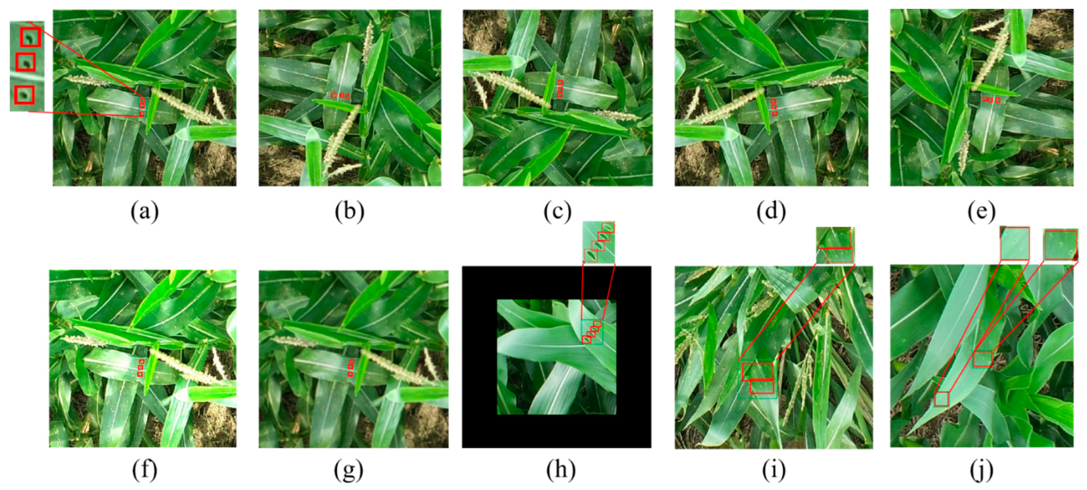 Agriculture 12 01104 g003 550