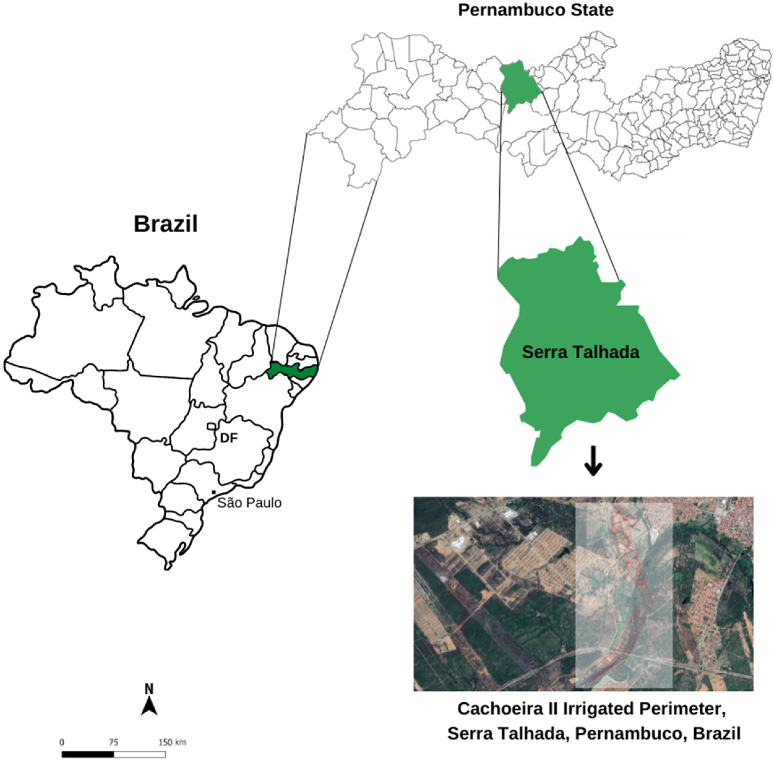 Agriculture 12 01124 g001