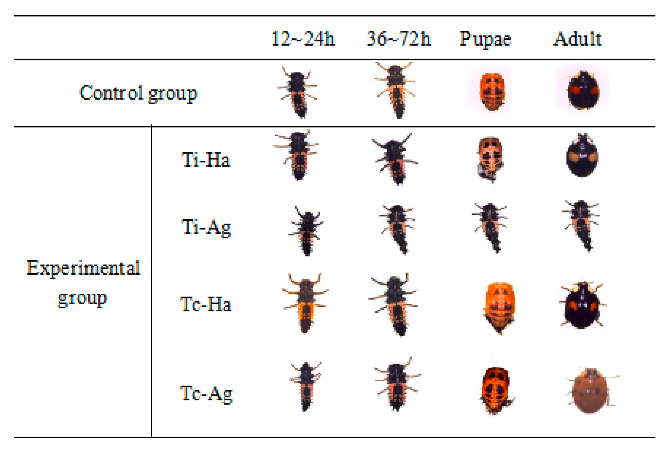 Agriculture 12 01134 g001 Agriculture 12 01134 g001