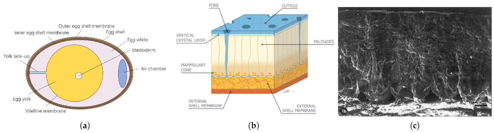 Agriculture 12 01137 g001 550