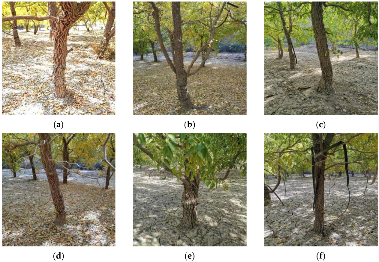 Agriculture 12 01140 g001