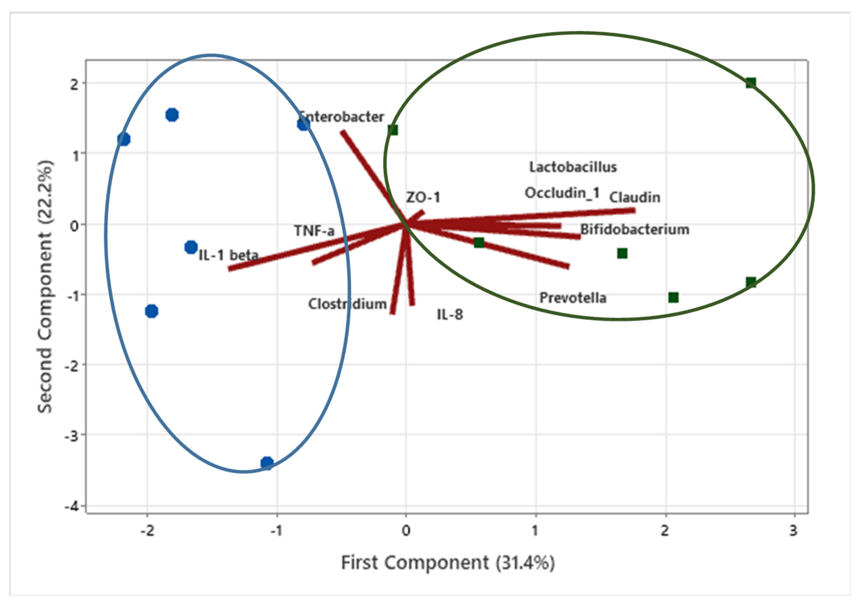 Agriculture 12 01142 g005 550