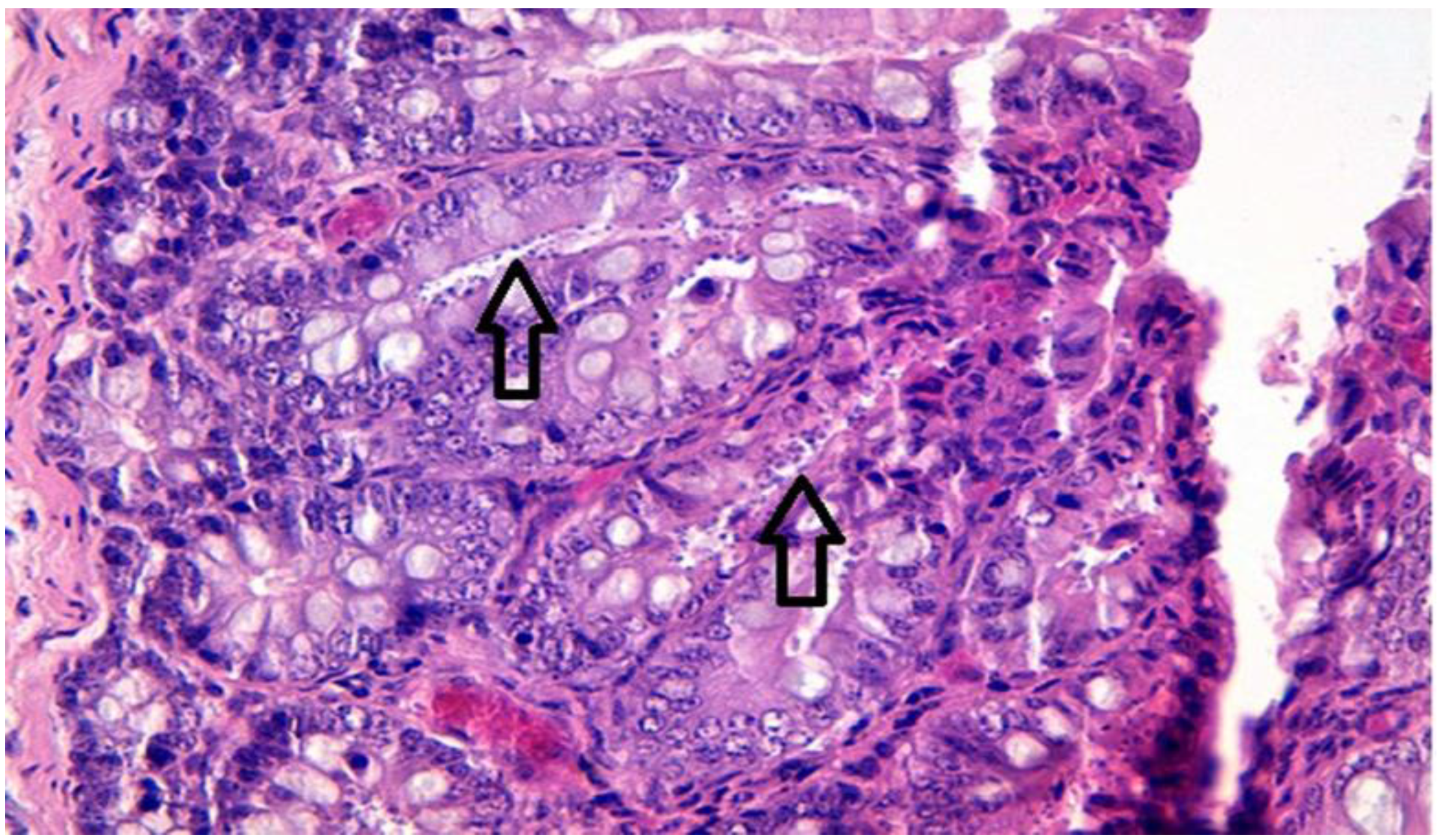 Agriculture 12 01151 g002