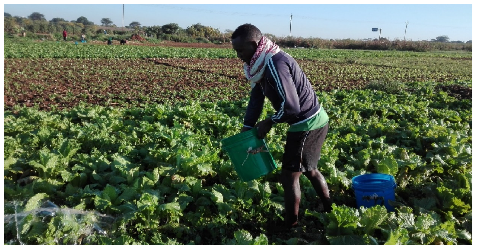 Agriculture 12 01157 g001 550