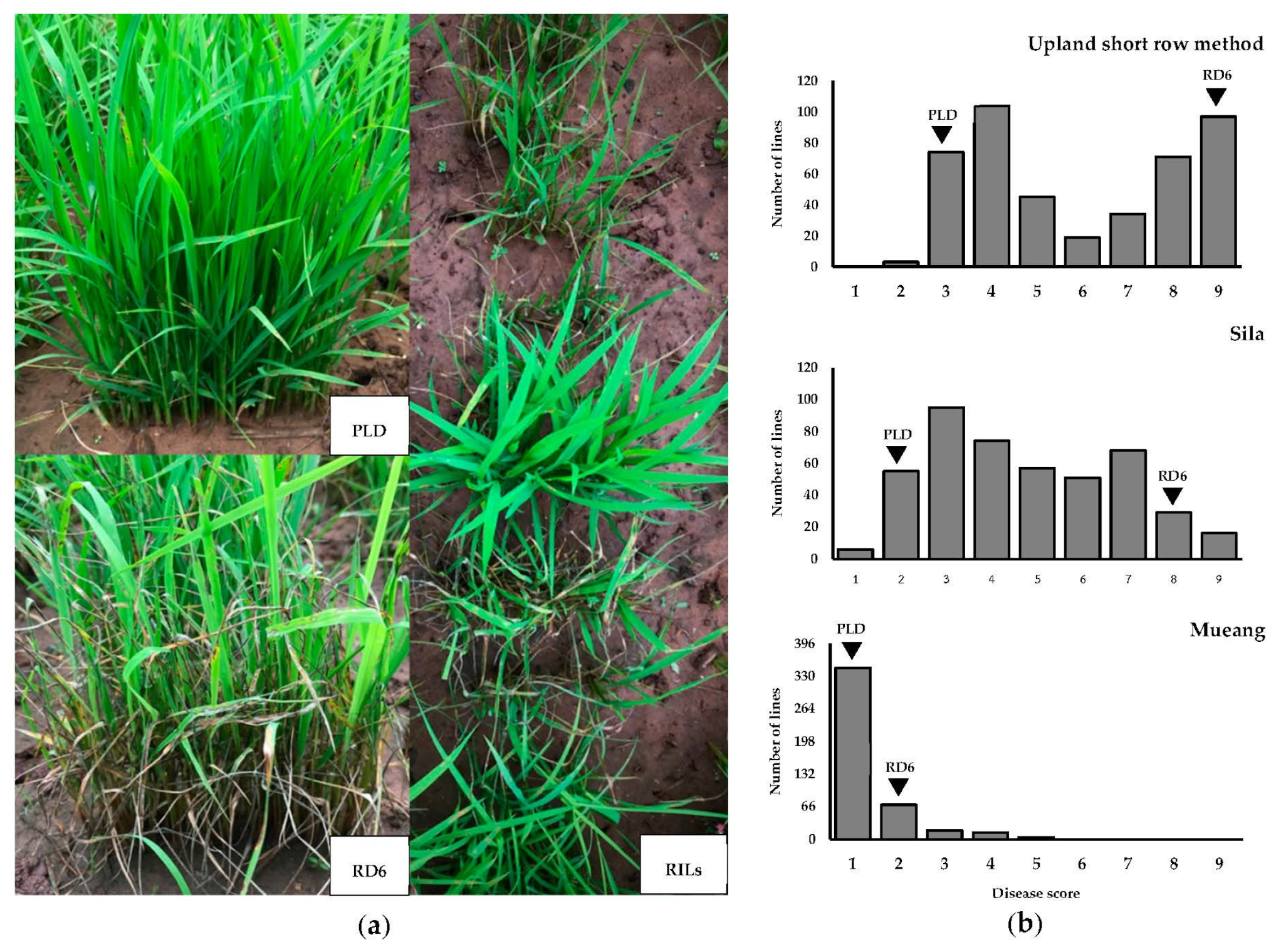Agriculture 12 01166 g002 Agriculture 12 01166 g002