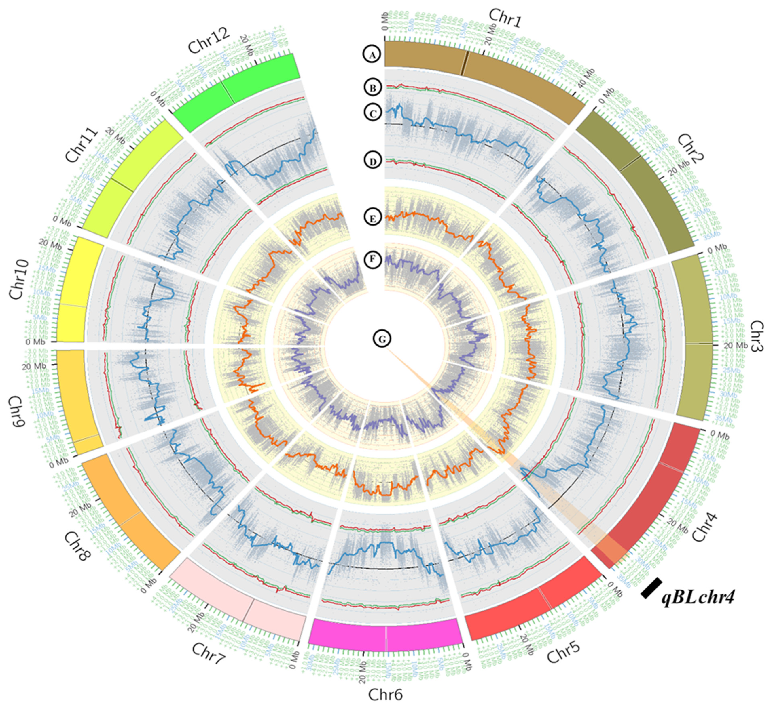 Agriculture 12 01166 g003 Agriculture 12 01166 g003