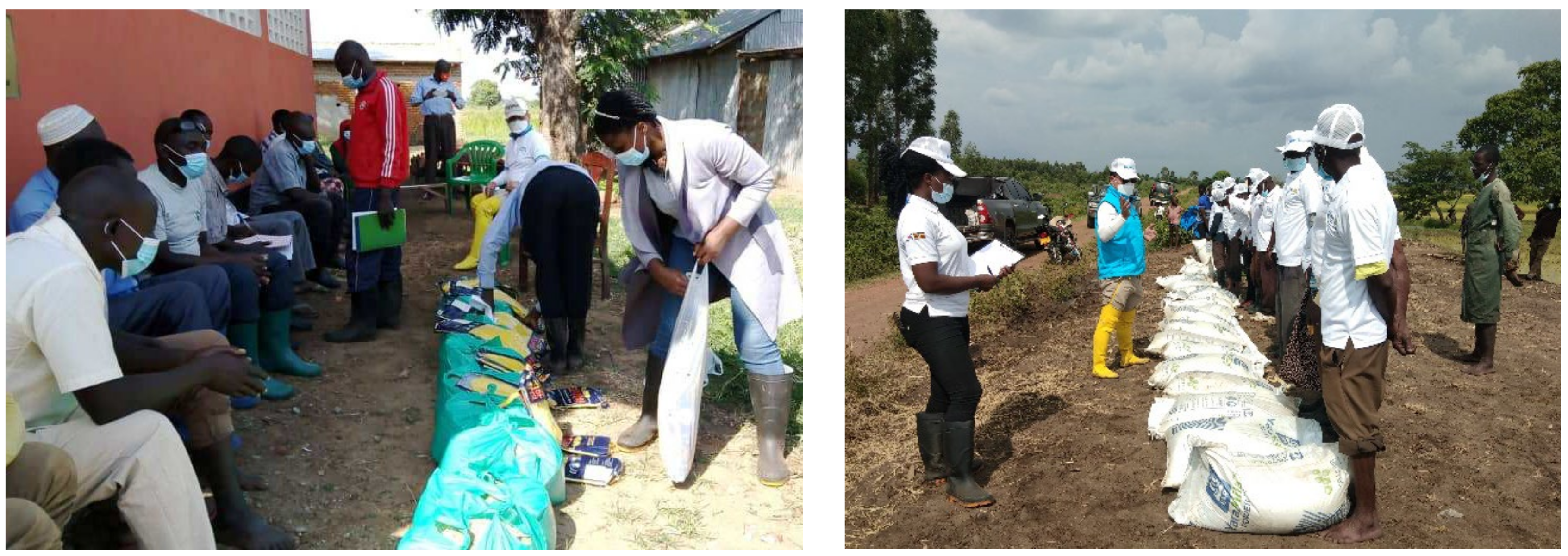 Agriculture 12 01172 g001 550