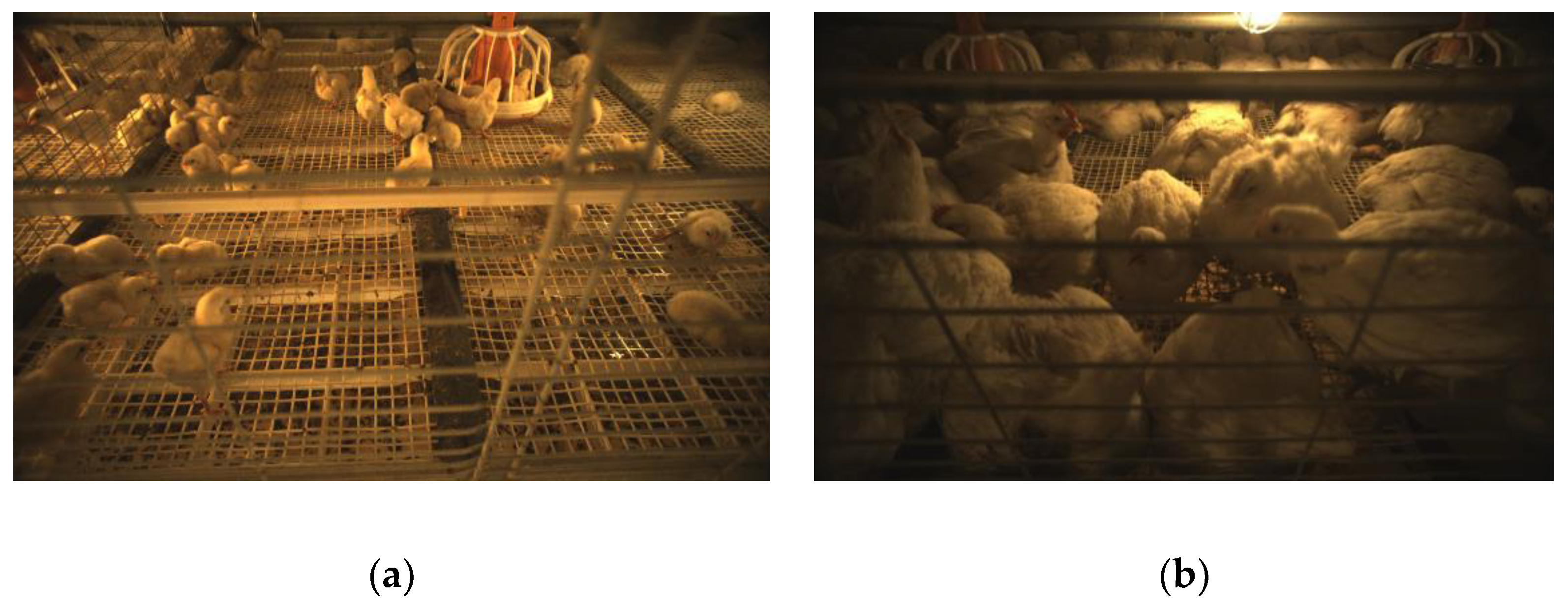 Agriculture 12 01176 g008 550