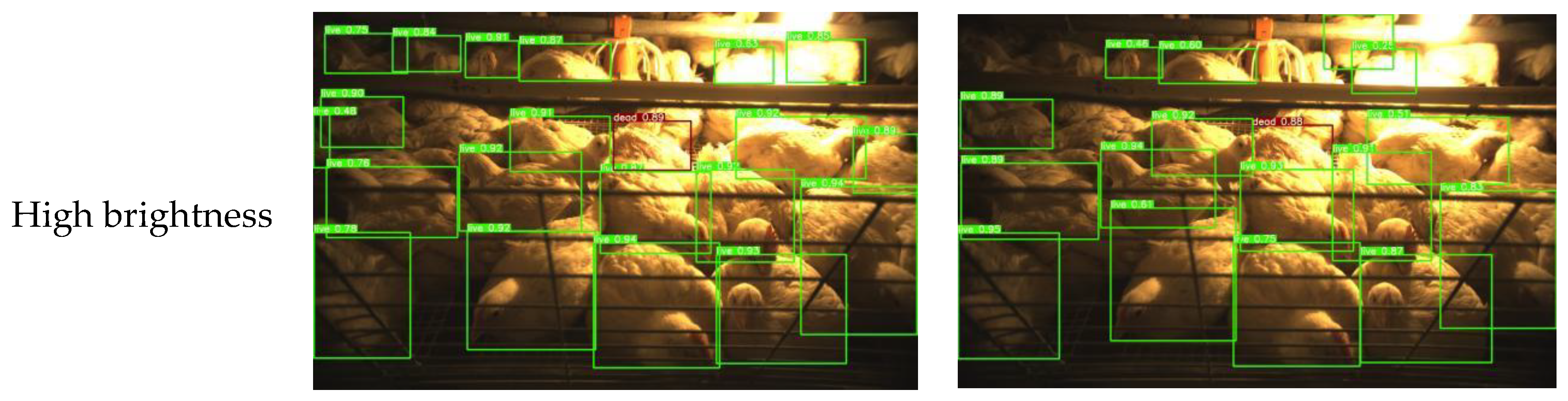 Agriculture 12 01176 g009a 550