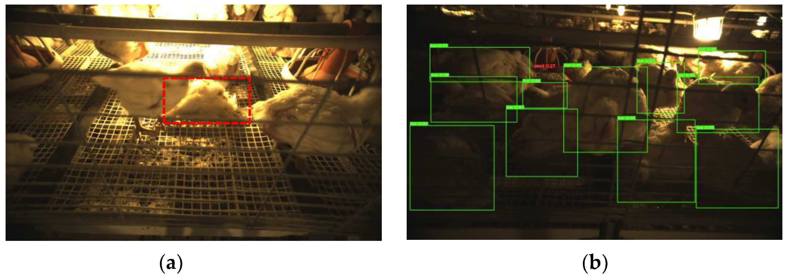 Agriculture 12 01176 g012 550