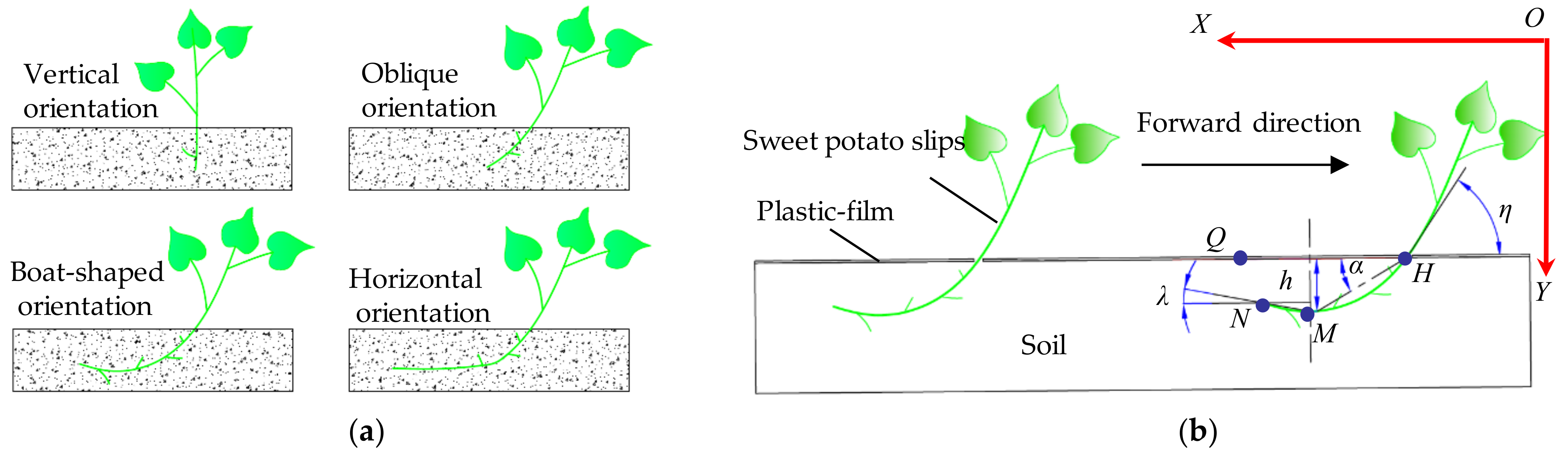 Agriculture 12 01184 g002 Agriculture 12 01184 g002