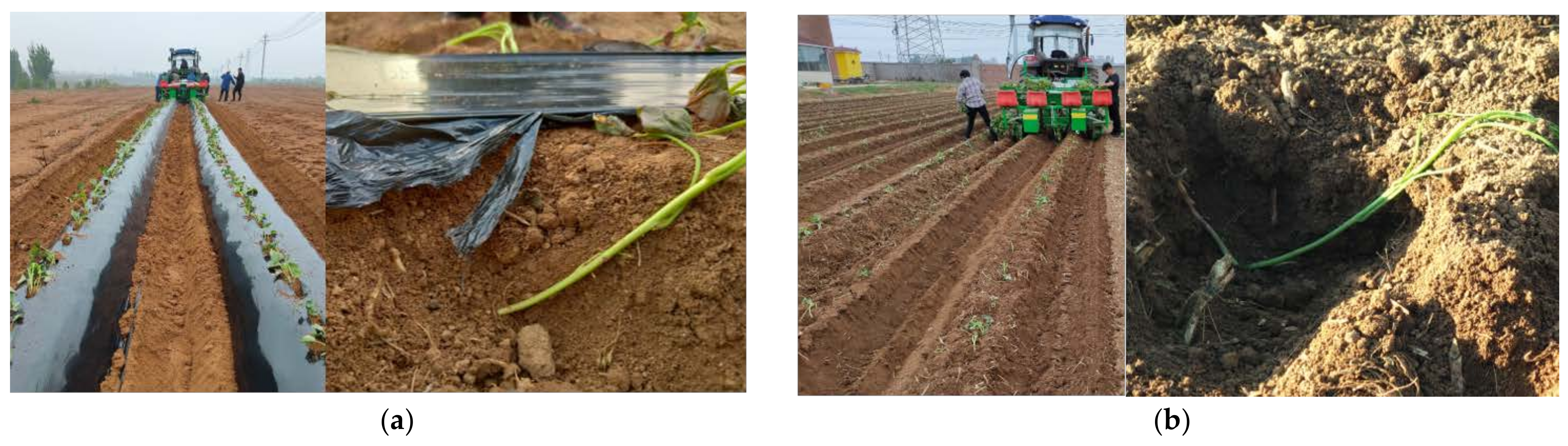 Agriculture 12 01184 g012 Agriculture 12 01184 g012