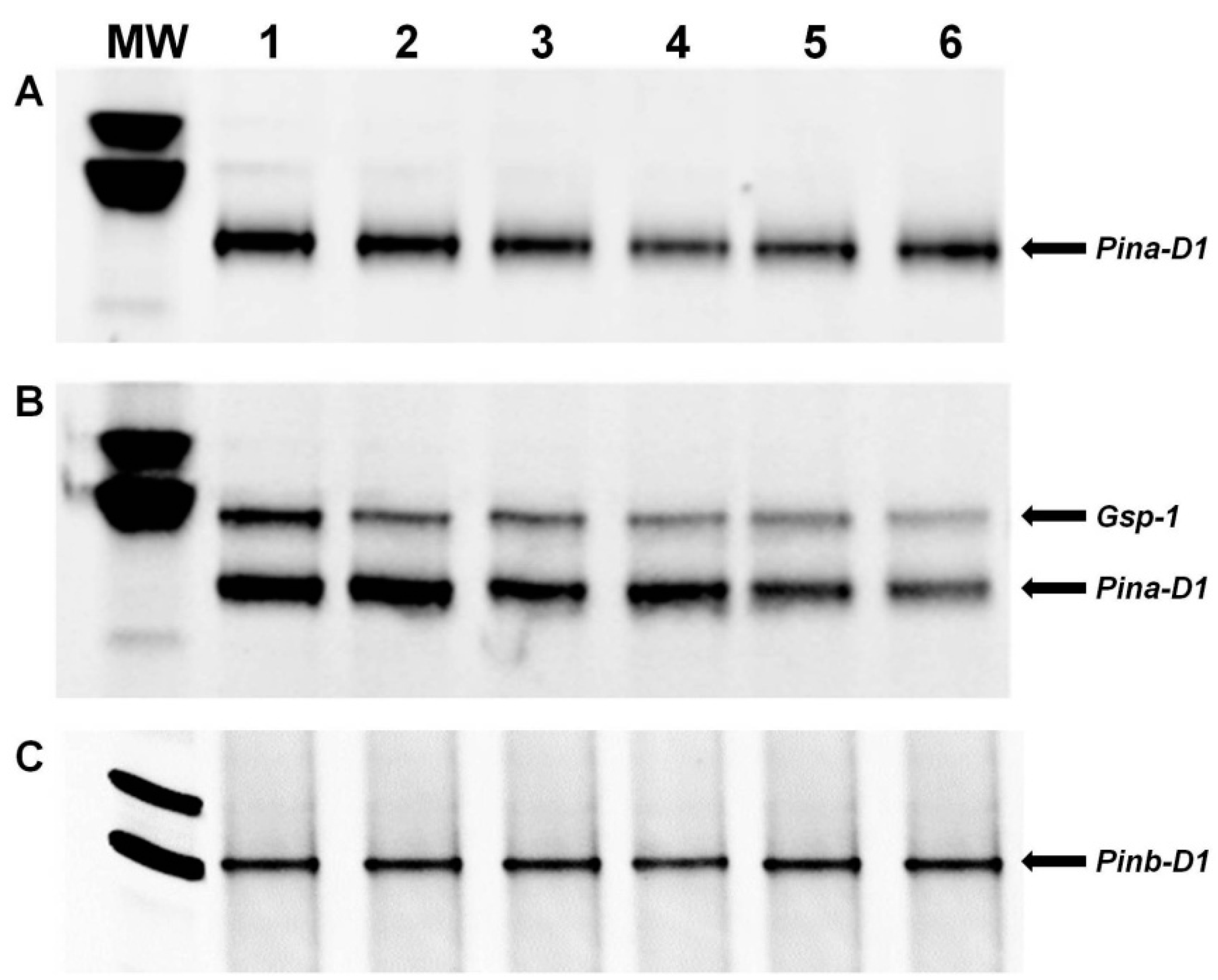 Agriculture 12 01196 g002 Agriculture 12 01196 g002
