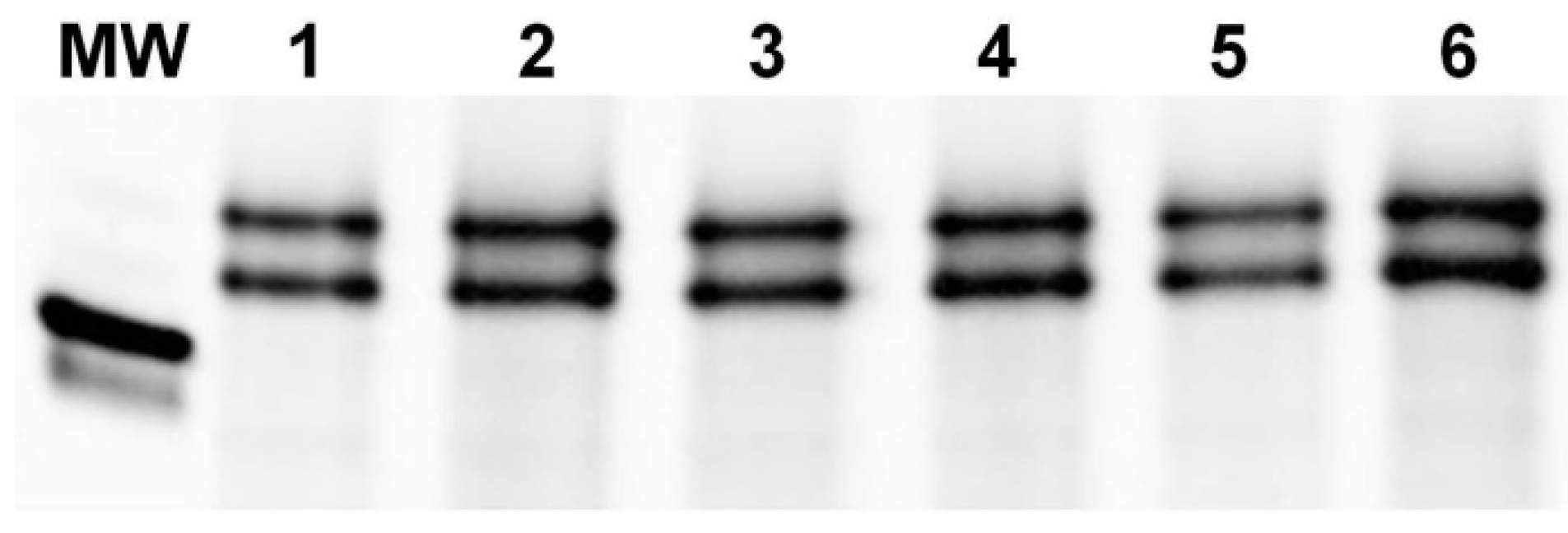 Agriculture 12 01196 g003 Agriculture 12 01196 g003