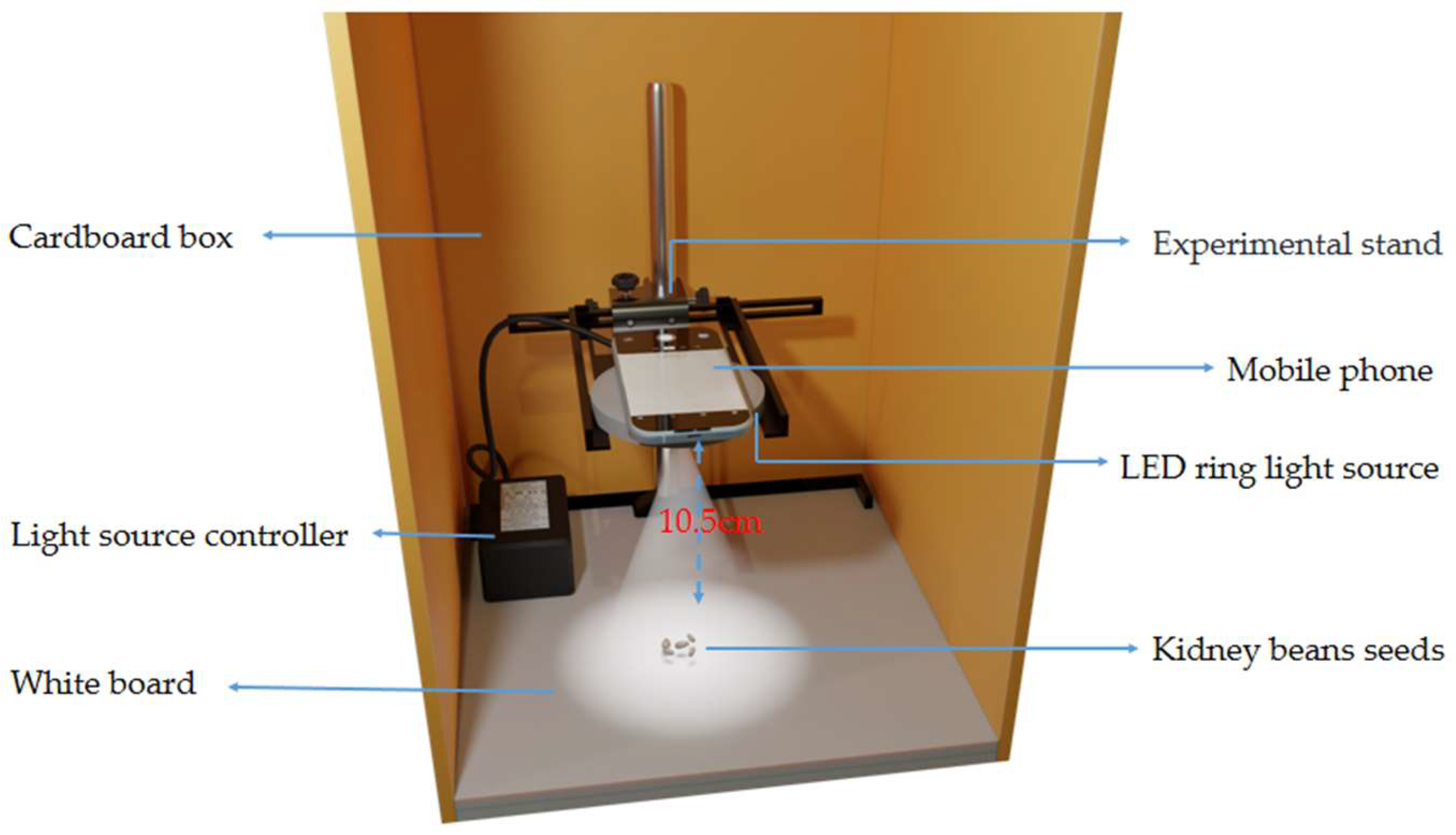 Agriculture 12 01202 g001 550