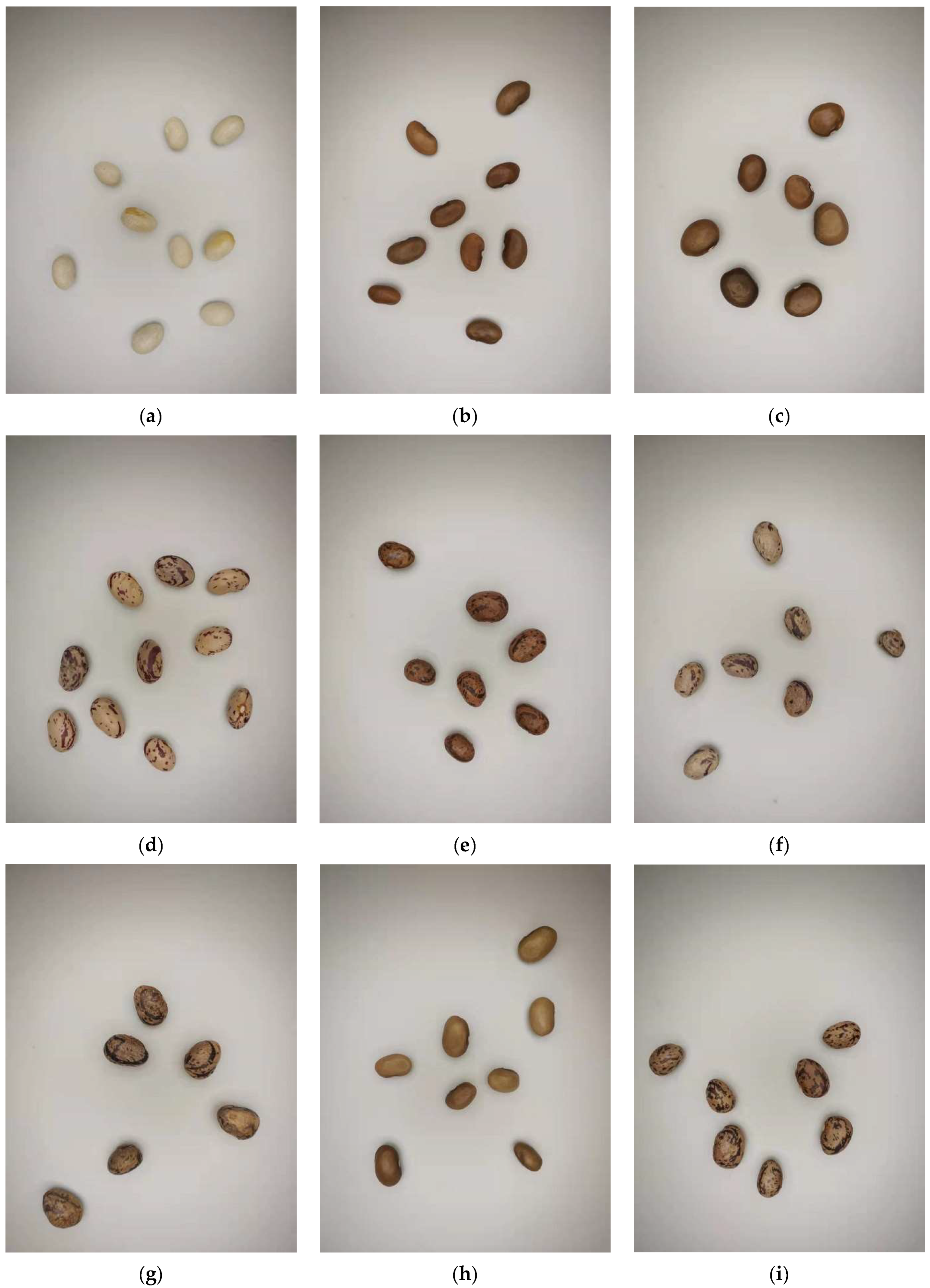 Agriculture 12 01202 g002a 550