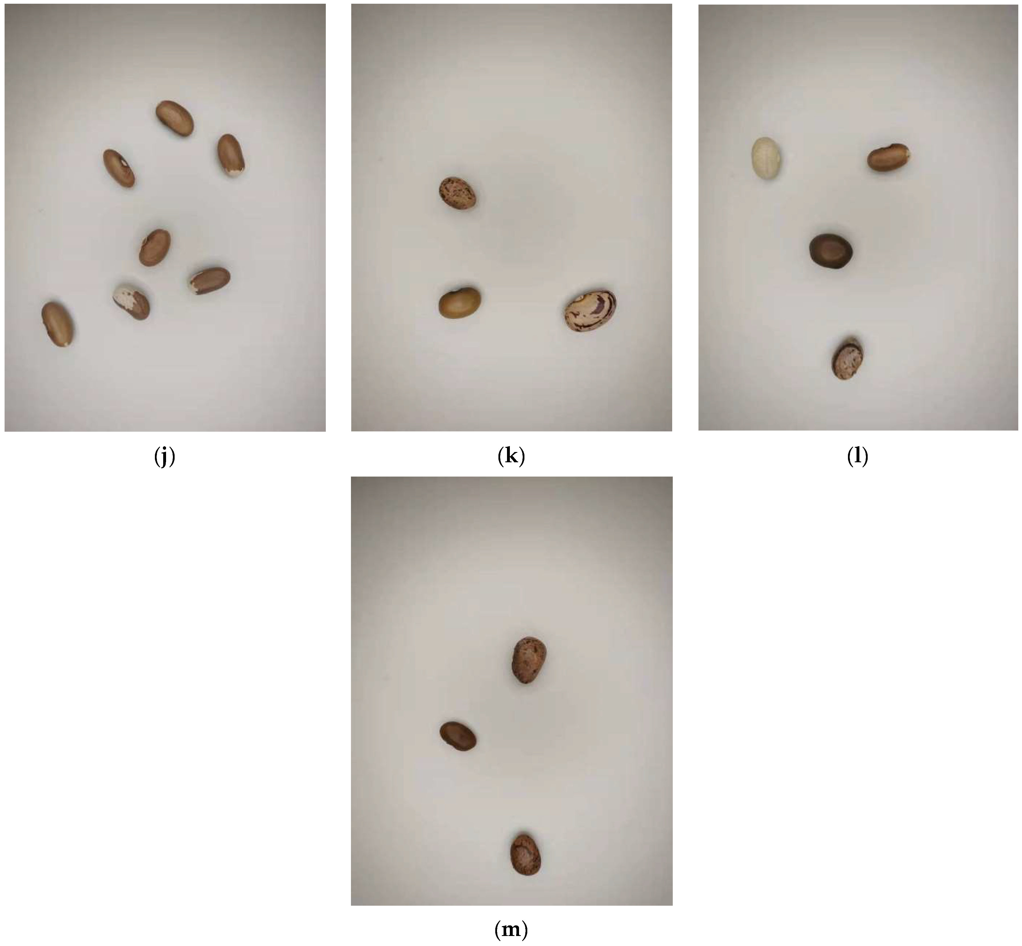 Agriculture 12 01202 g002b 550