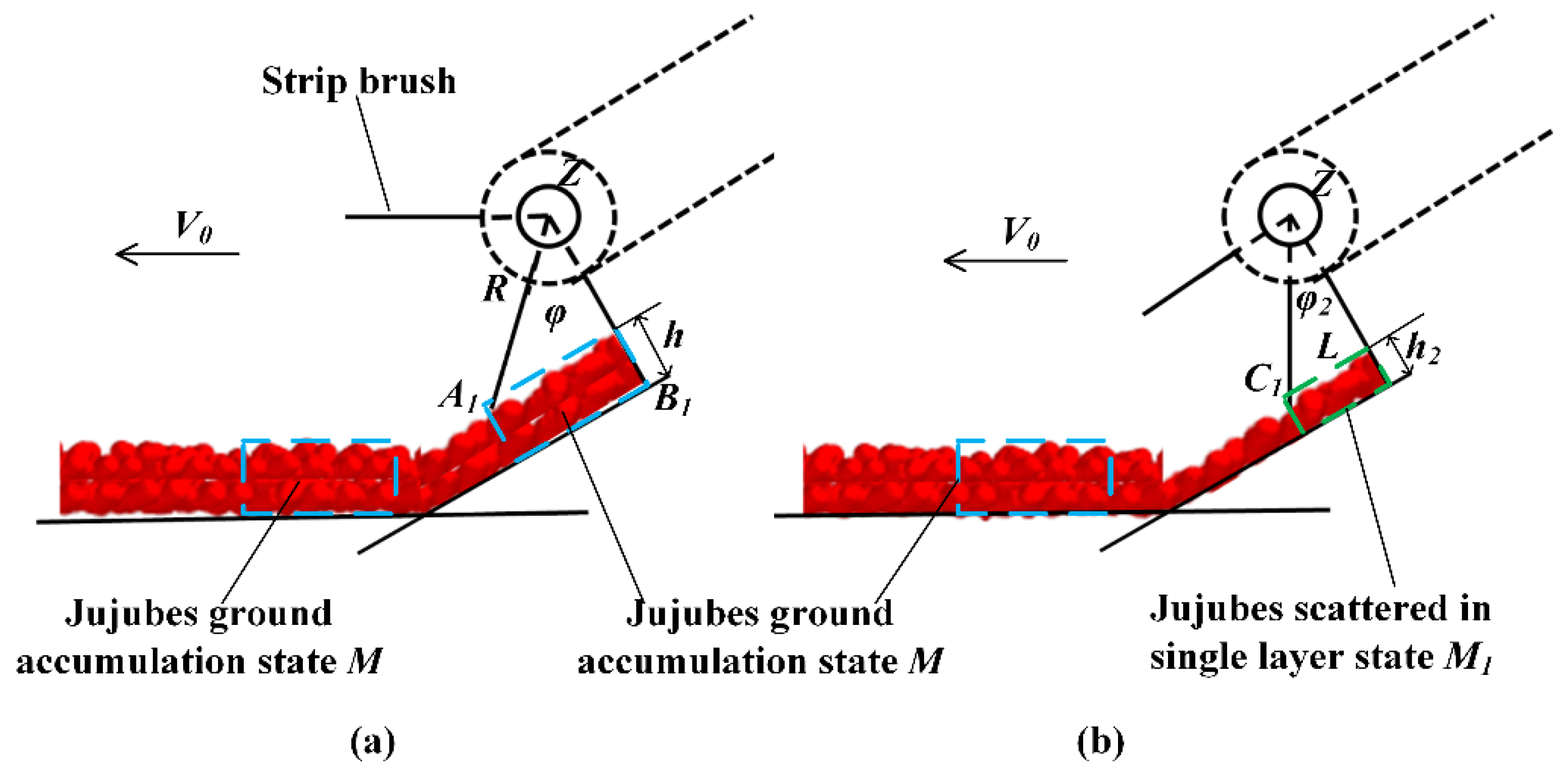 Agriculture 12 01203 g005 550