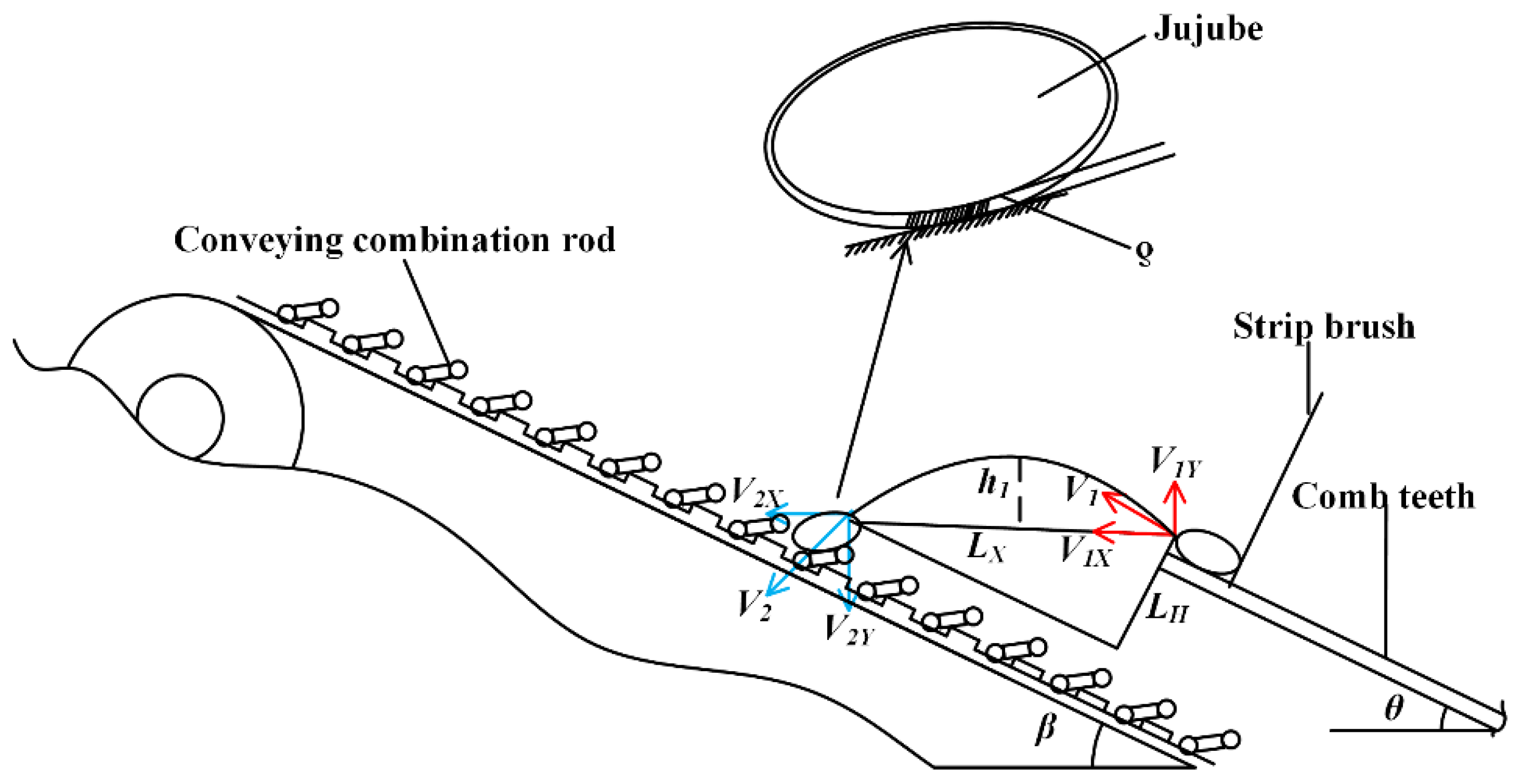 Agriculture 12 01203 g007 550