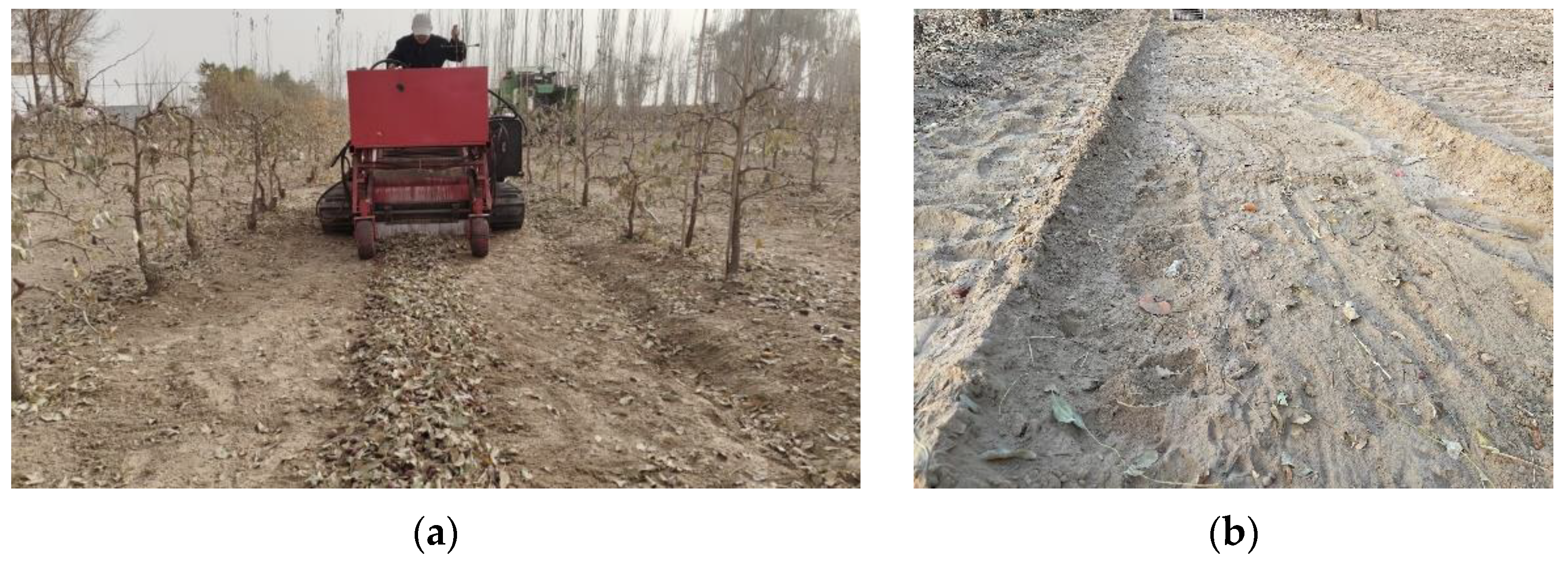 Agriculture 12 01203 g010 550