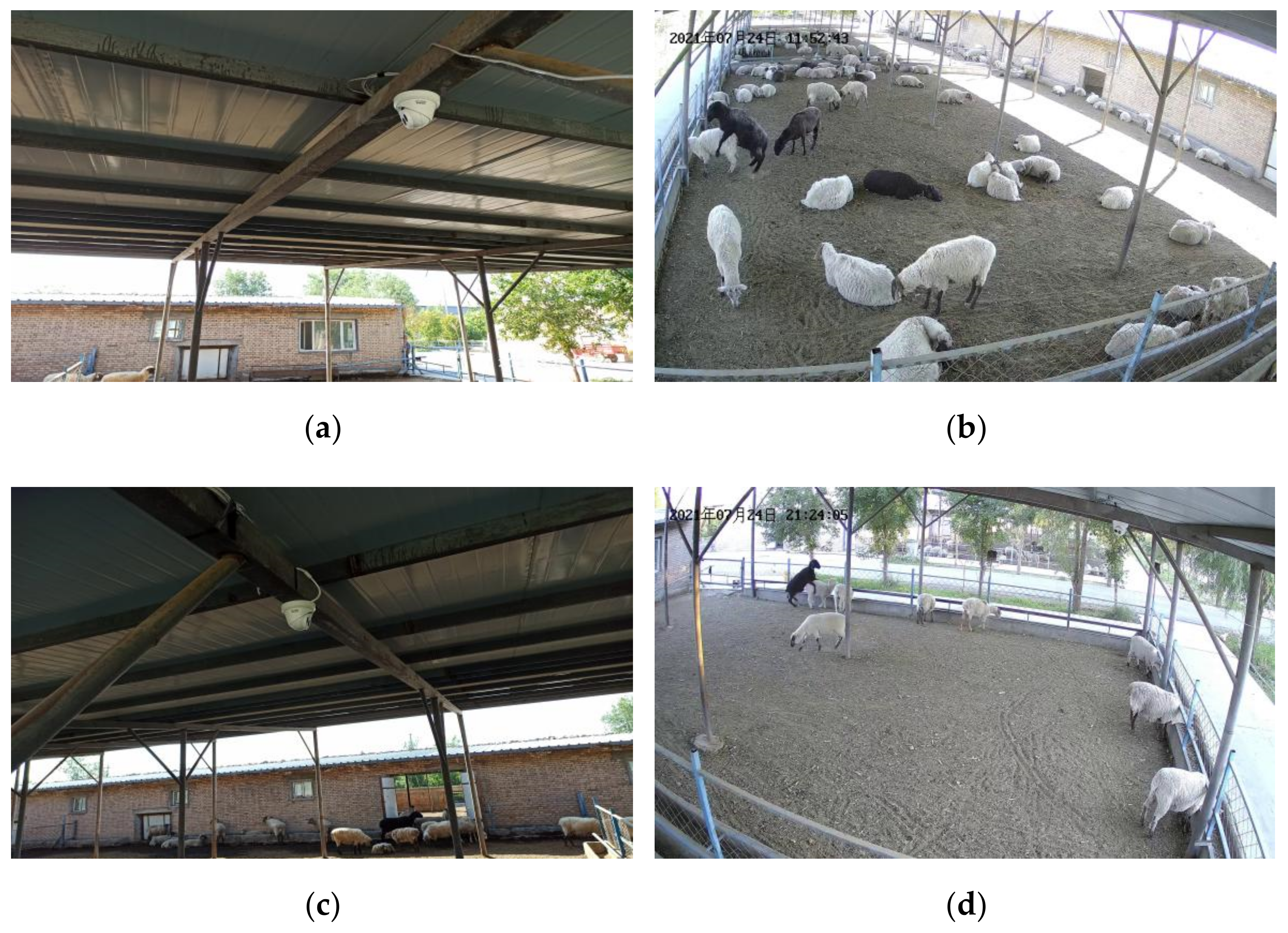 Agriculture 12 01207 g001 550