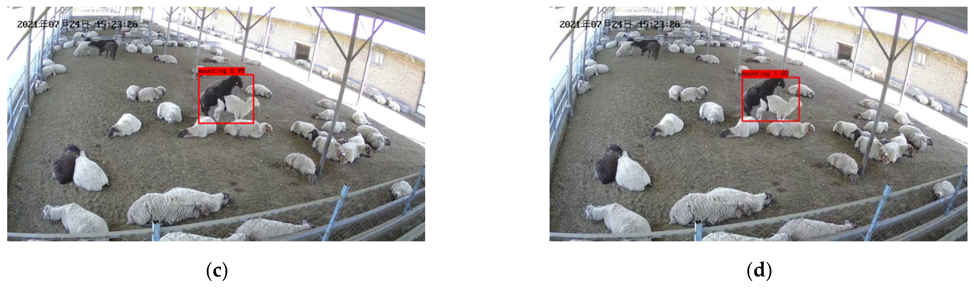 Agriculture 12 01207 g010b 550