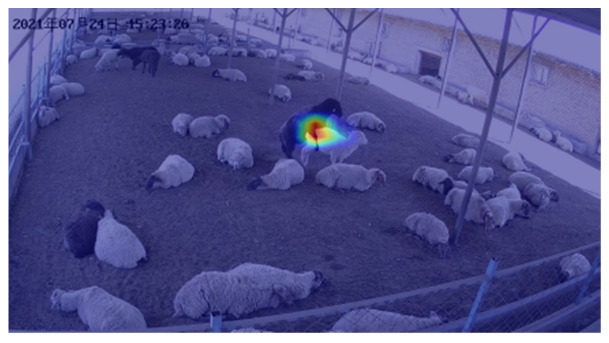 Agriculture 12 01207 i001