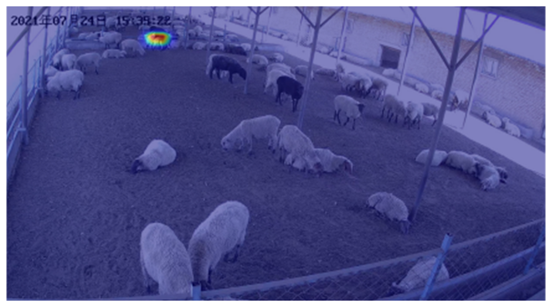 Agriculture 12 01207 i008