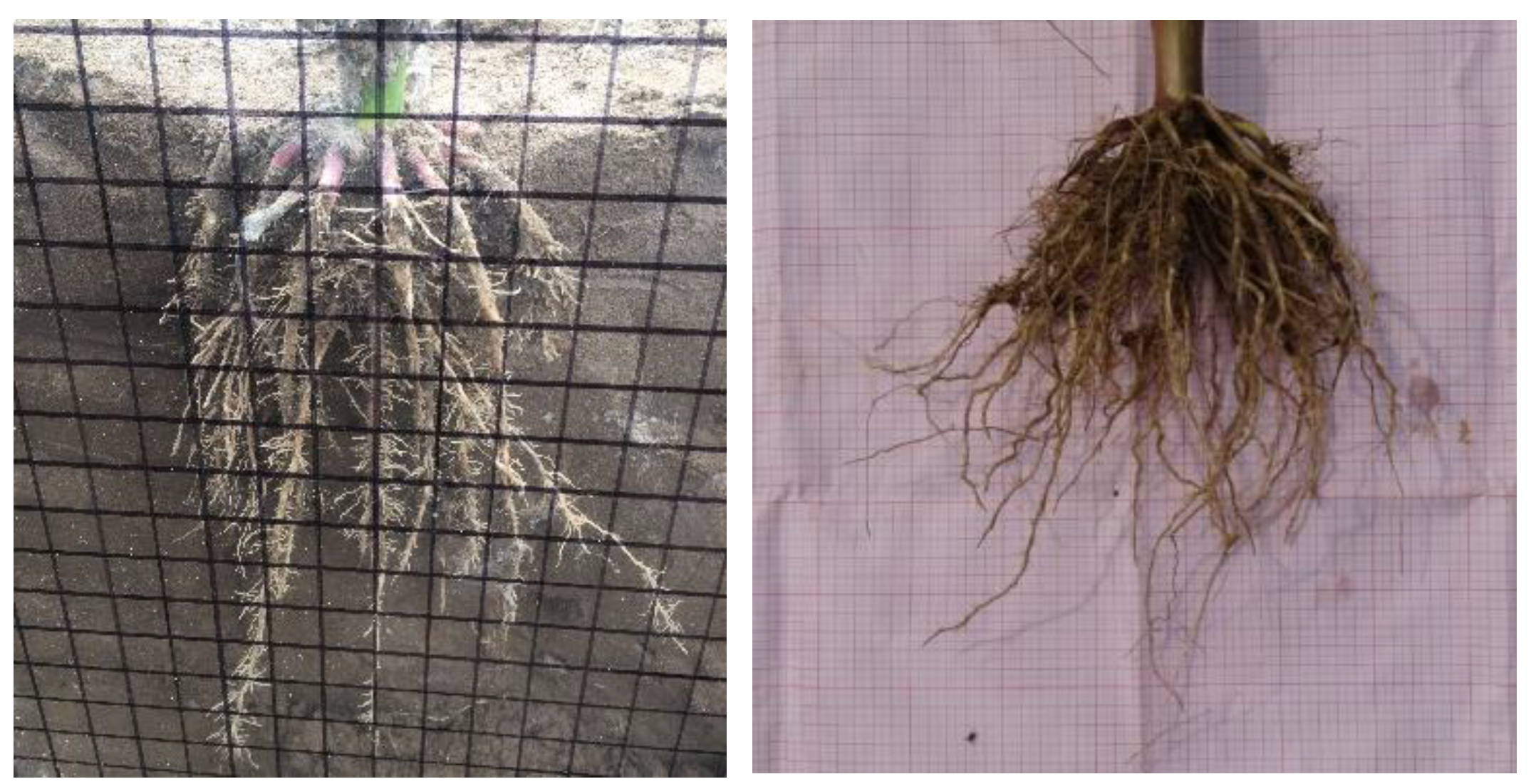 Agriculture 12 01220 g003