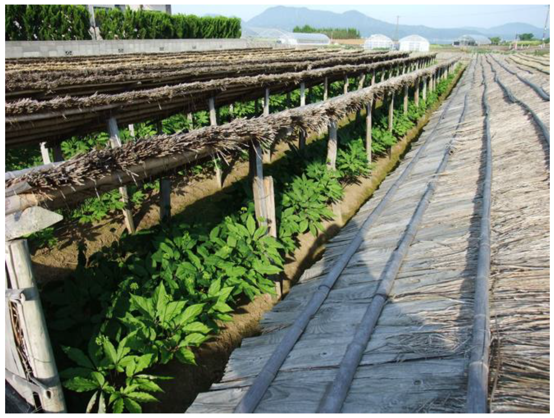 Agriculture 12 01223 g002