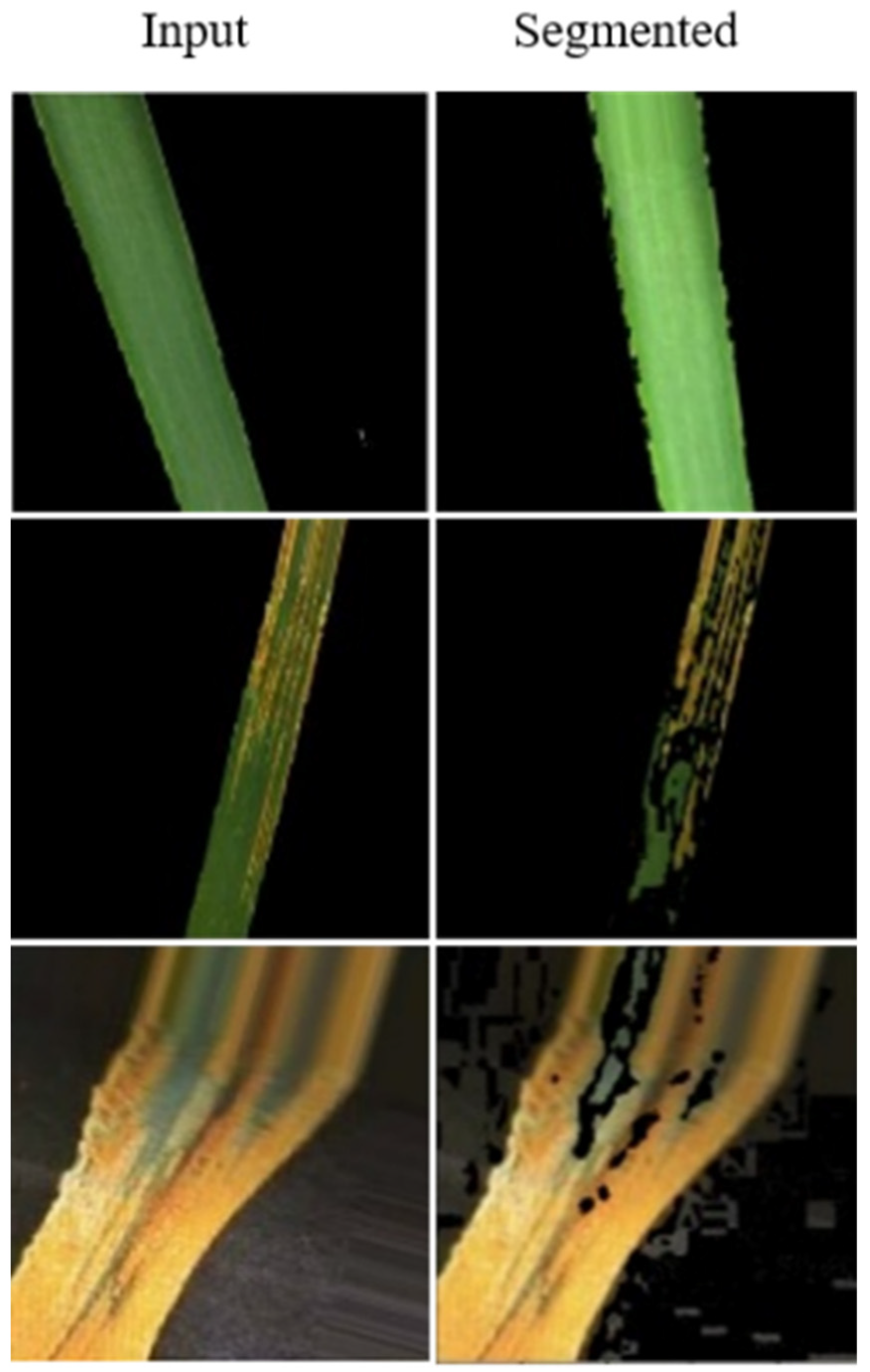 Agriculture 12 01226 g002 550