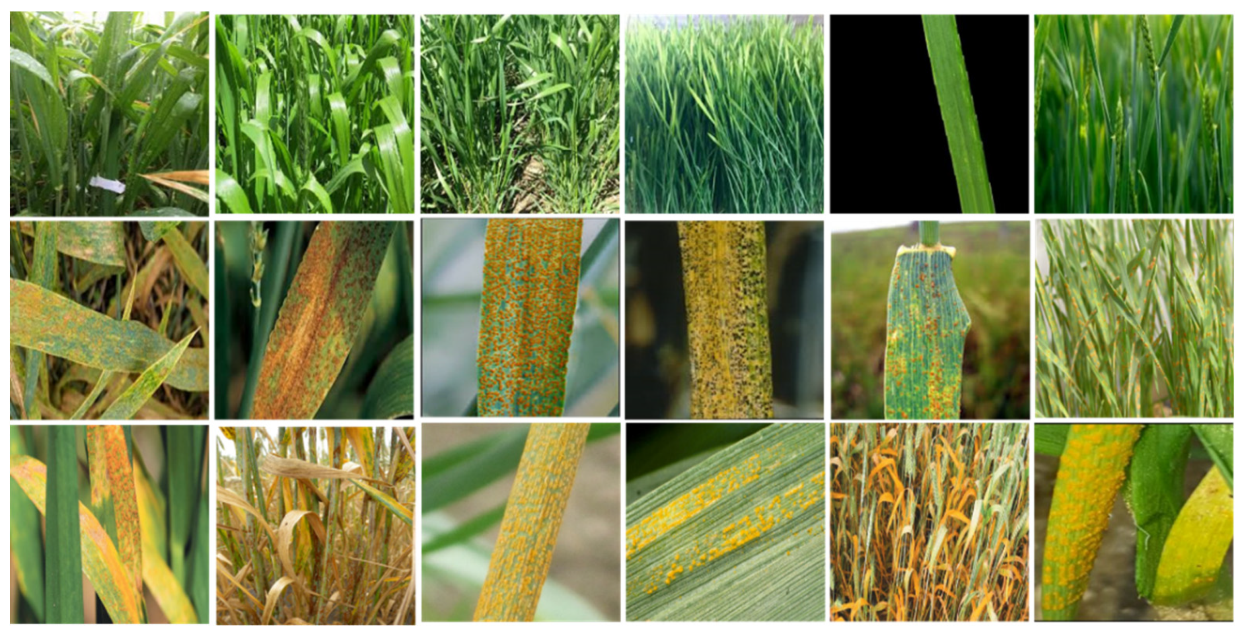 Agriculture 12 01226 g003 550