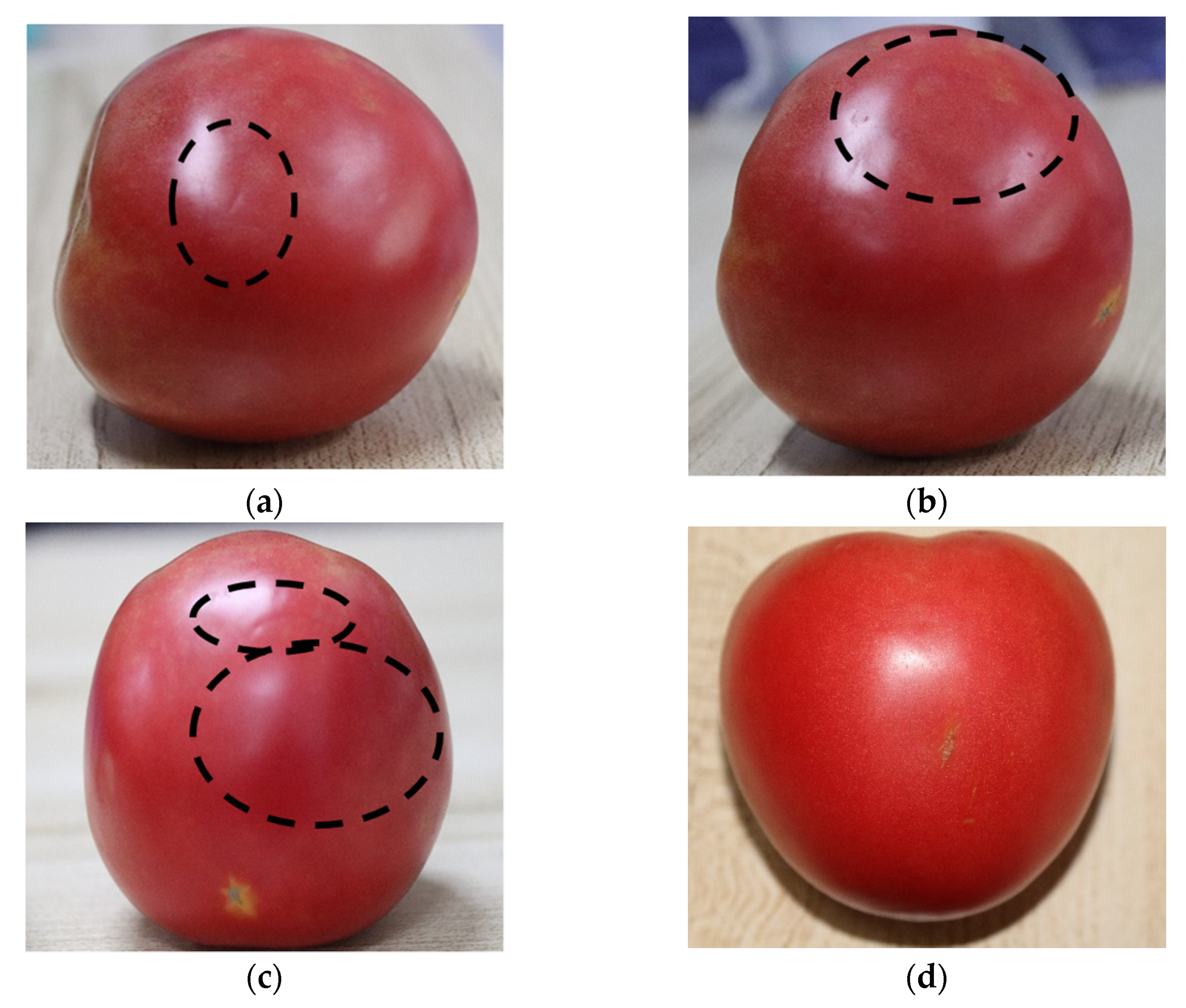 Agriculture 12 01233 g015