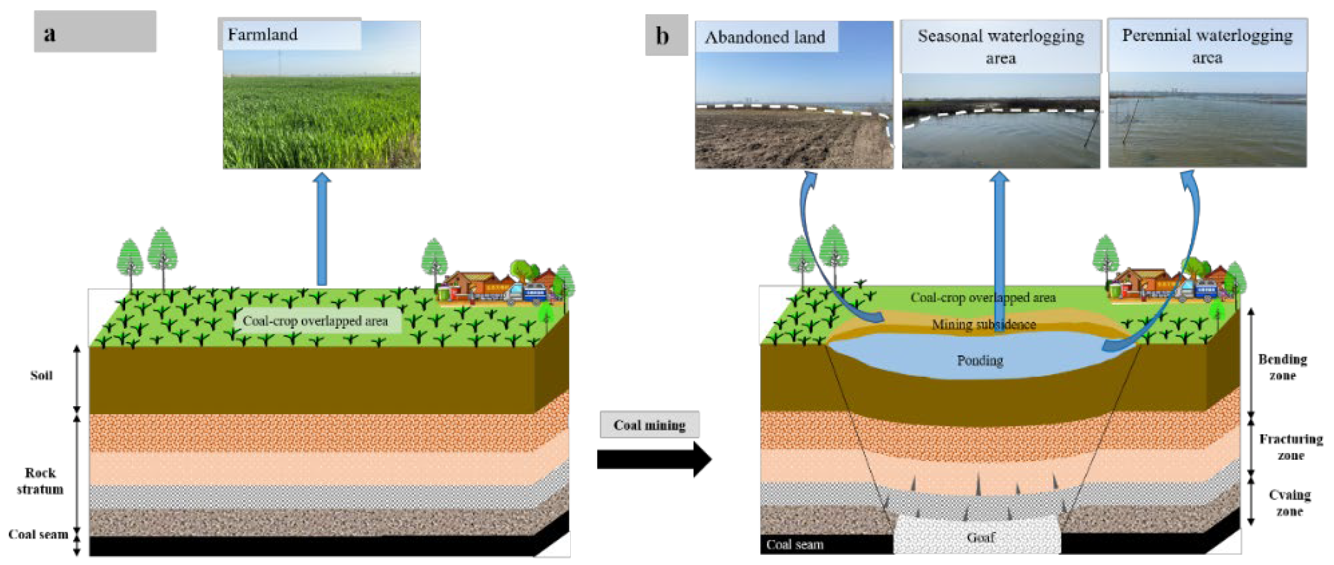 Agriculture 12 01235 g010