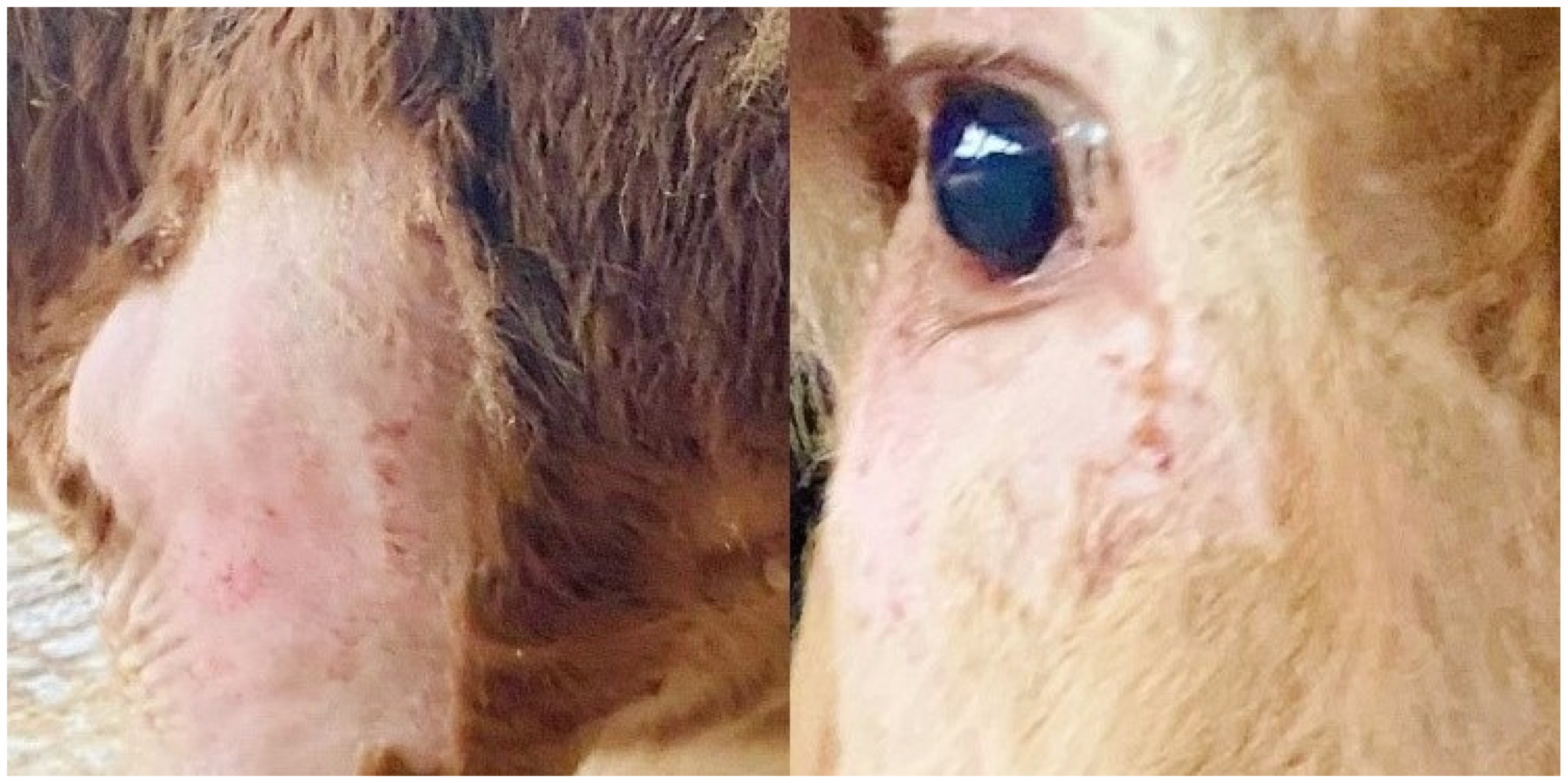 Agriculture 12 01237 g001 550