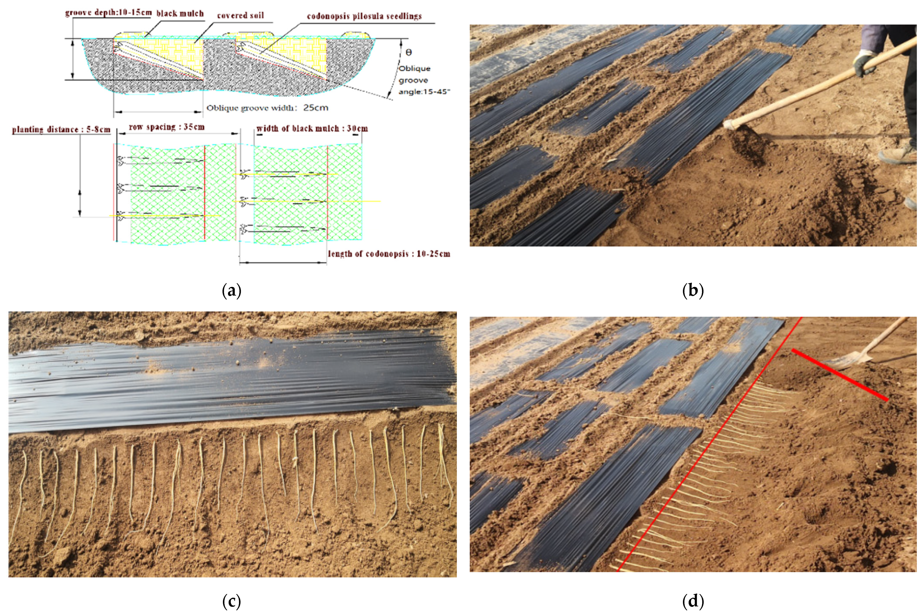 Agriculture 12 01238 g002