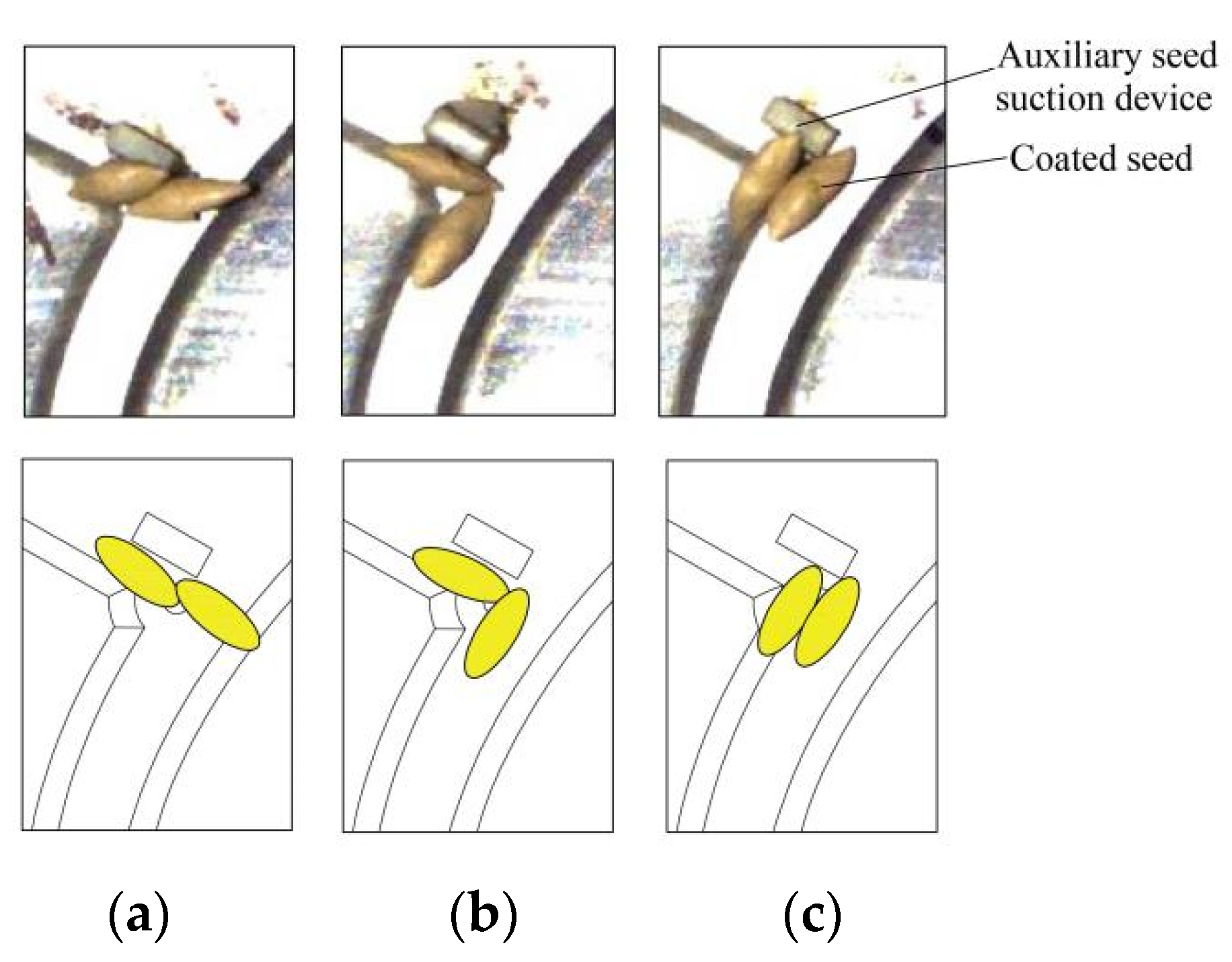 Agriculture 12 01239 g002