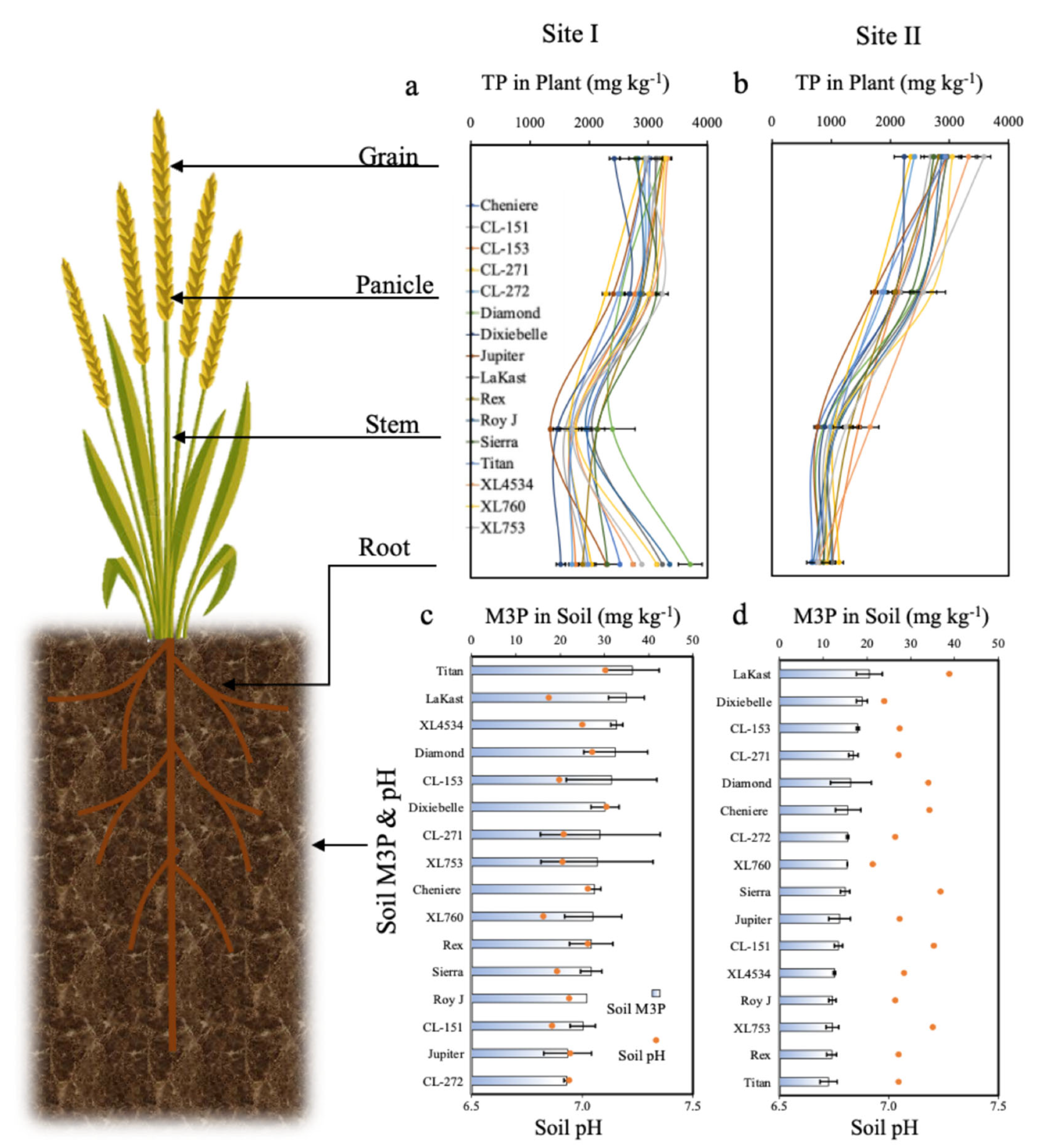 Agriculture 12 01250 g001