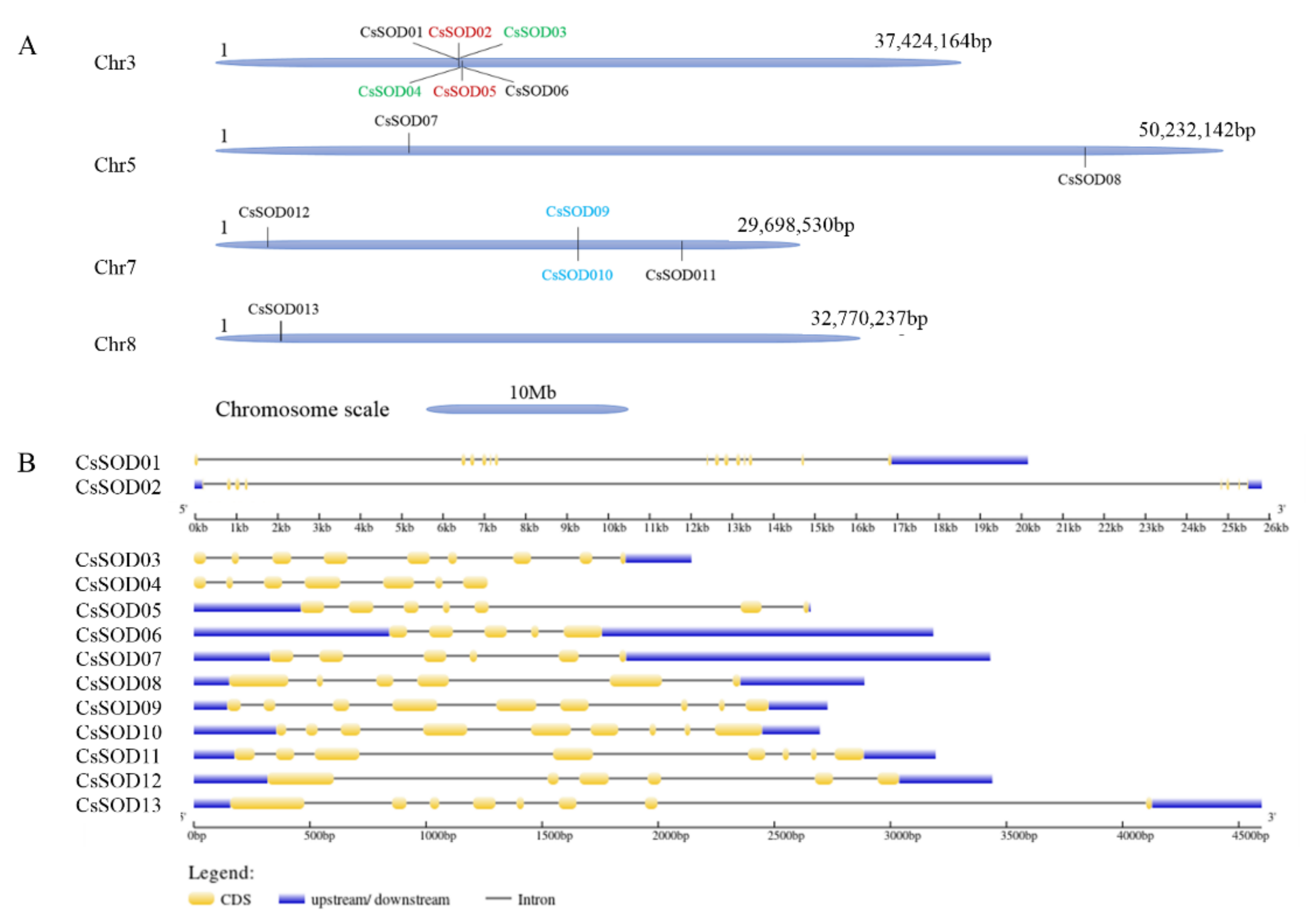 Agriculture 12 01254 g002 Agriculture 12 01254 g002